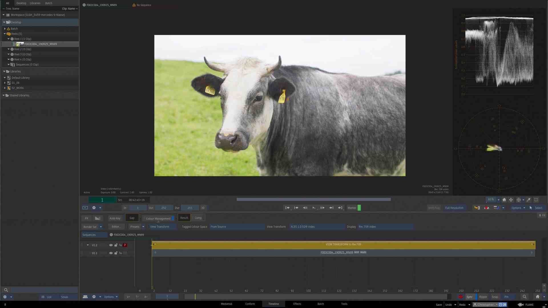 a black and white cow standing in a green field displayed on a video editing software interface with tools and waveforms visible indicating the editing process digital production A black and white cow standing in a green field, displayed on a video editing software interface with tools and waveforms visible, indicating the editing process.