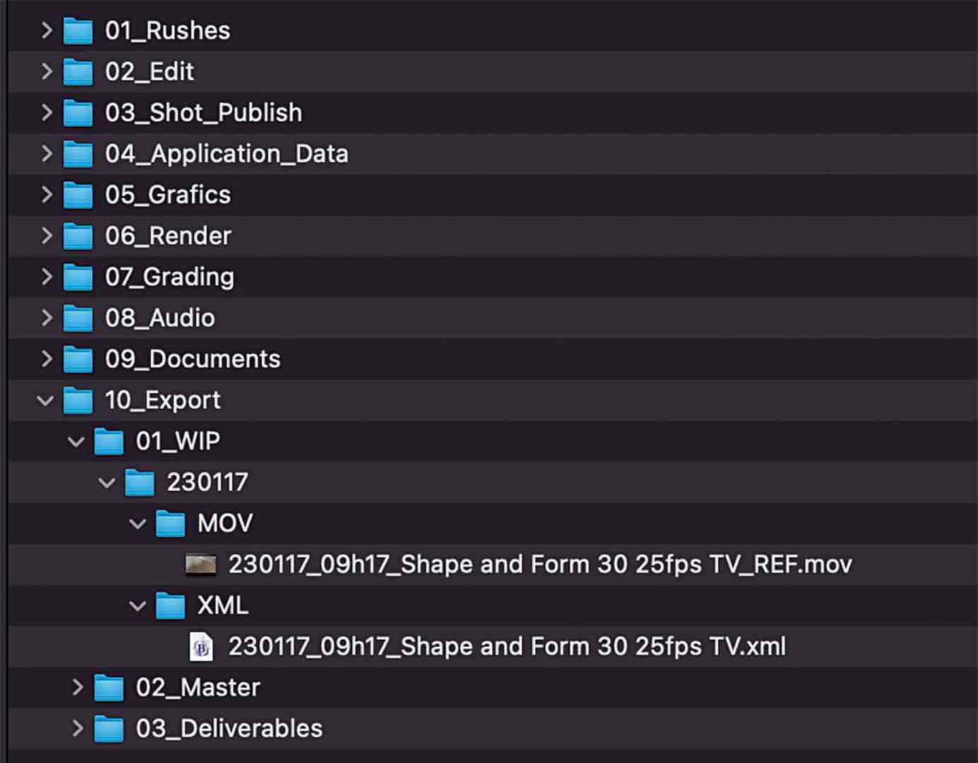 screenshot of a file directory structure showing various folders for project management including rushes edit application data grading and export with specific files in 01wip digital production Screenshot of a file directory structure showing various folders for project management, including 'Rushes', 'Edit', 'Application Data', 'Grading', and 'Export', with specific files in '01_WIP'.
