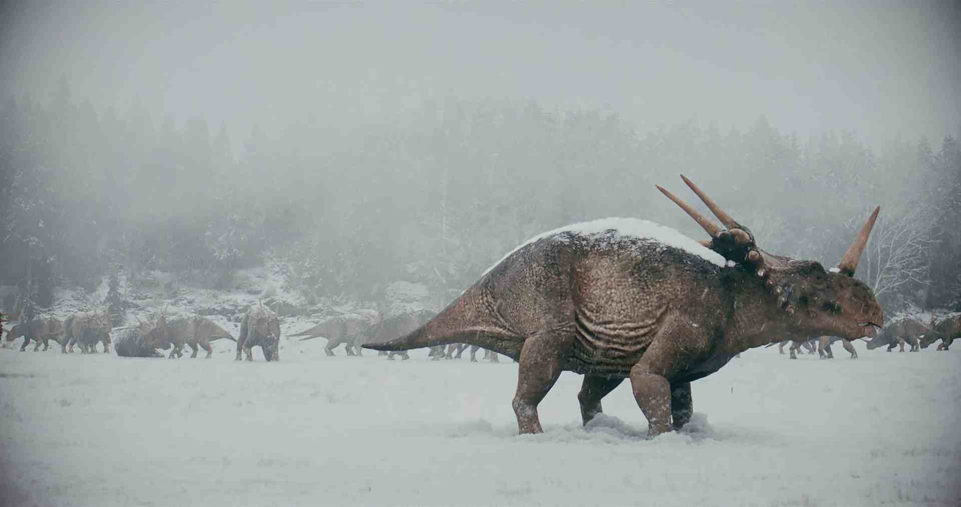 styracosaurus digital production