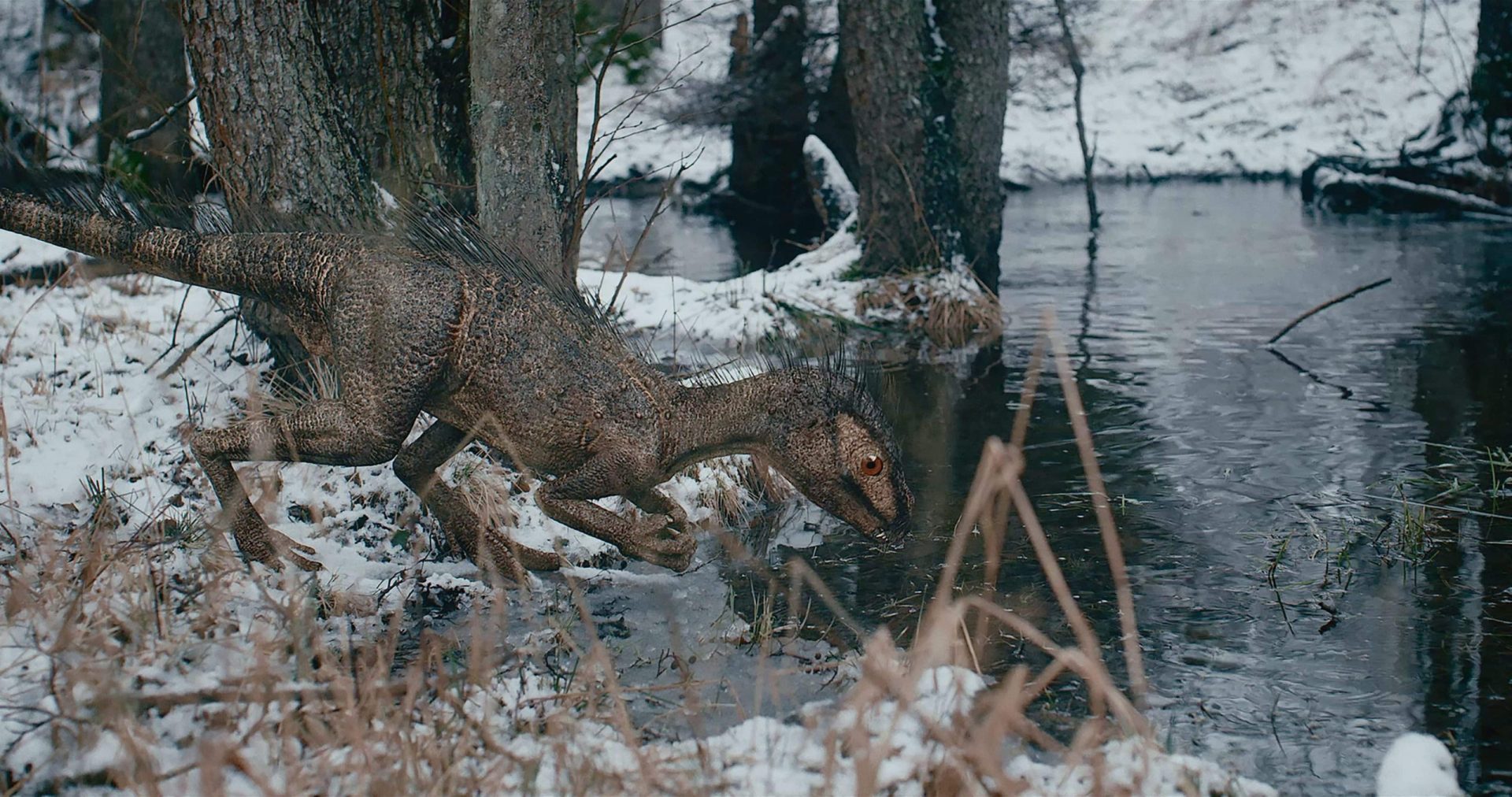 tucki digital production