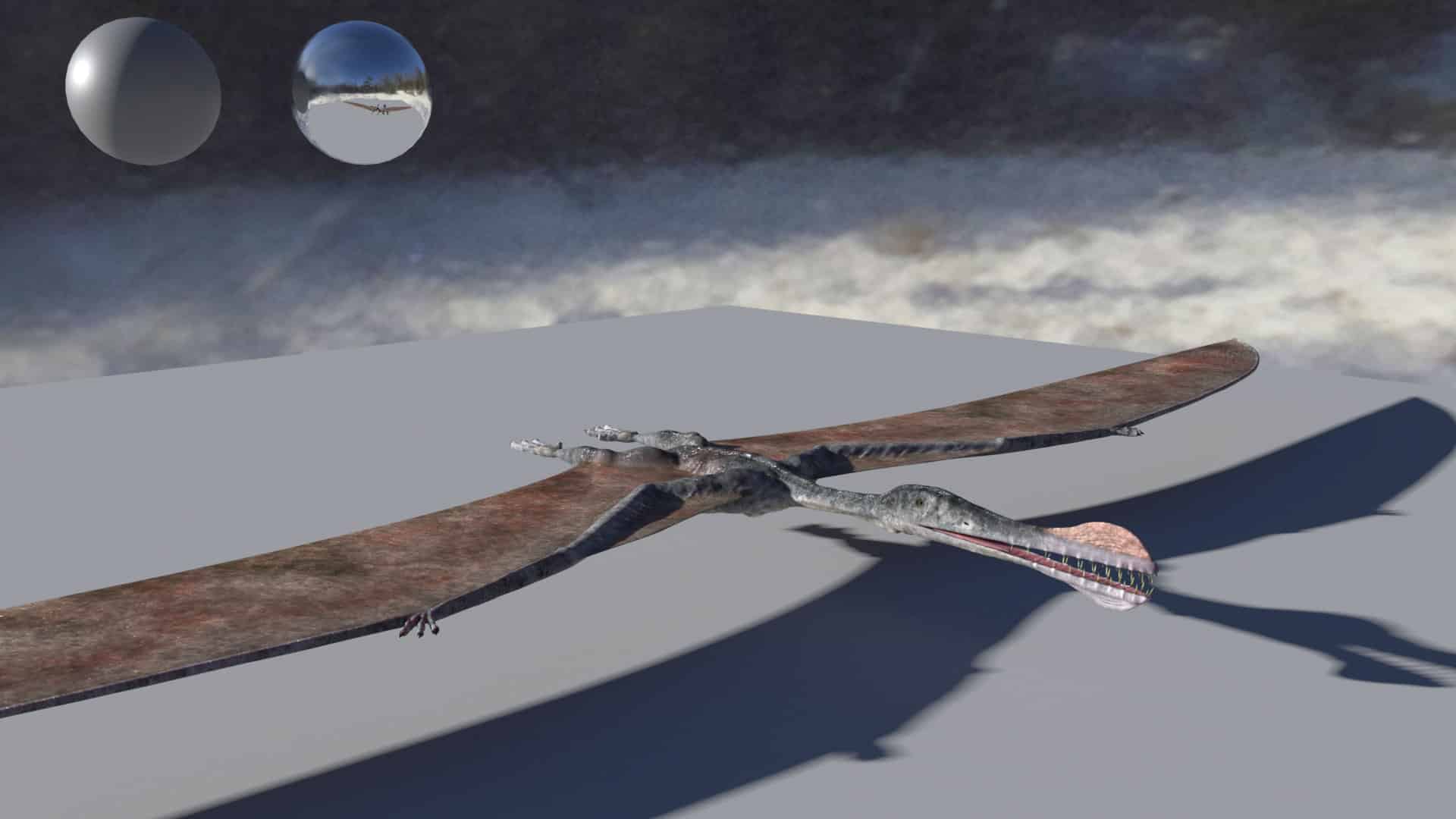 pterorendertest digital production