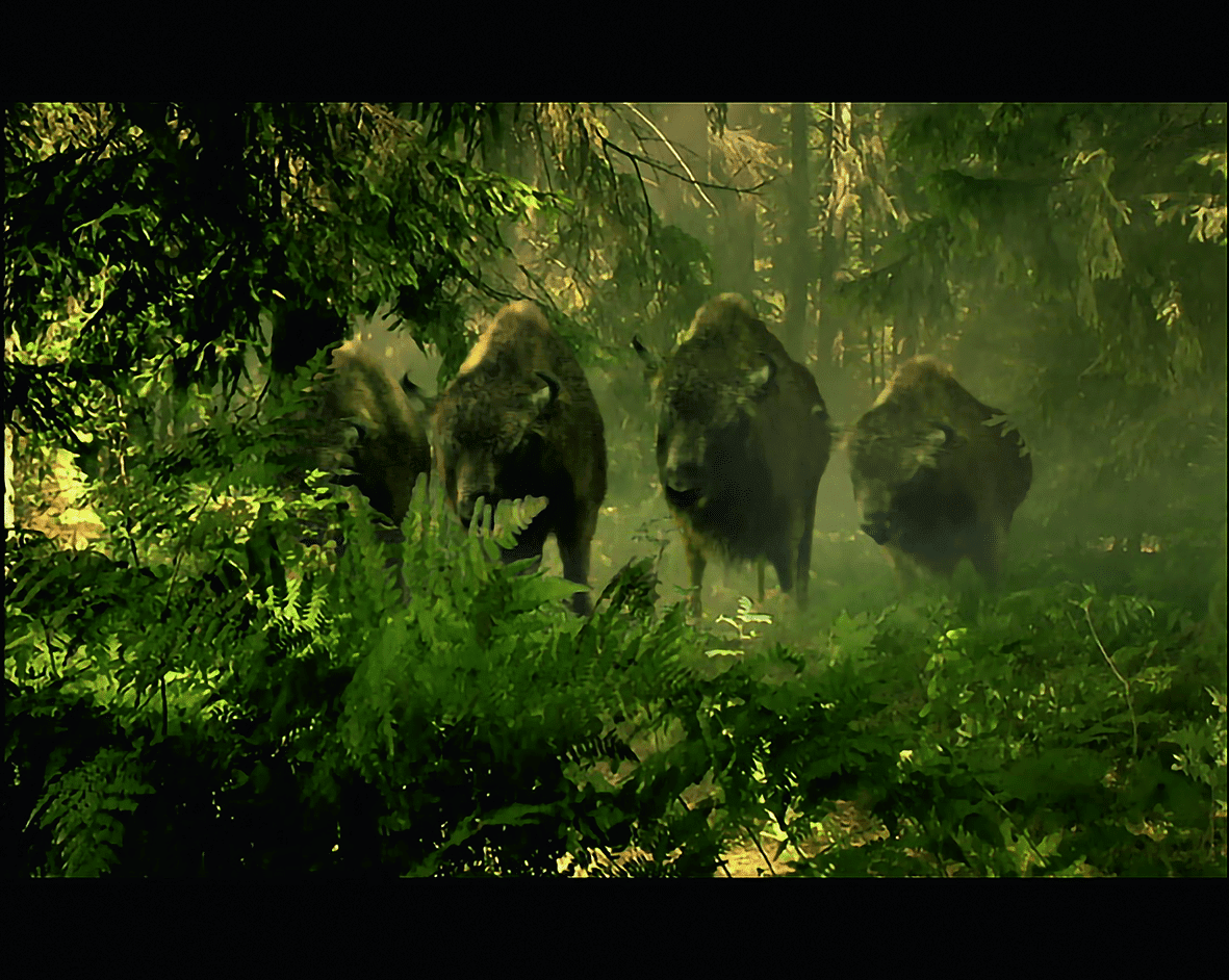 02 digital production