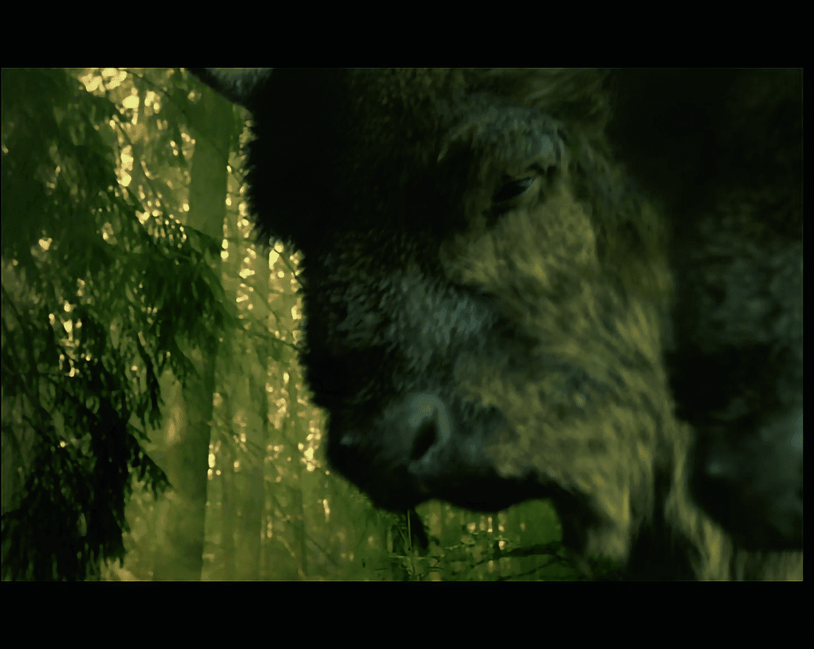 05 digital production