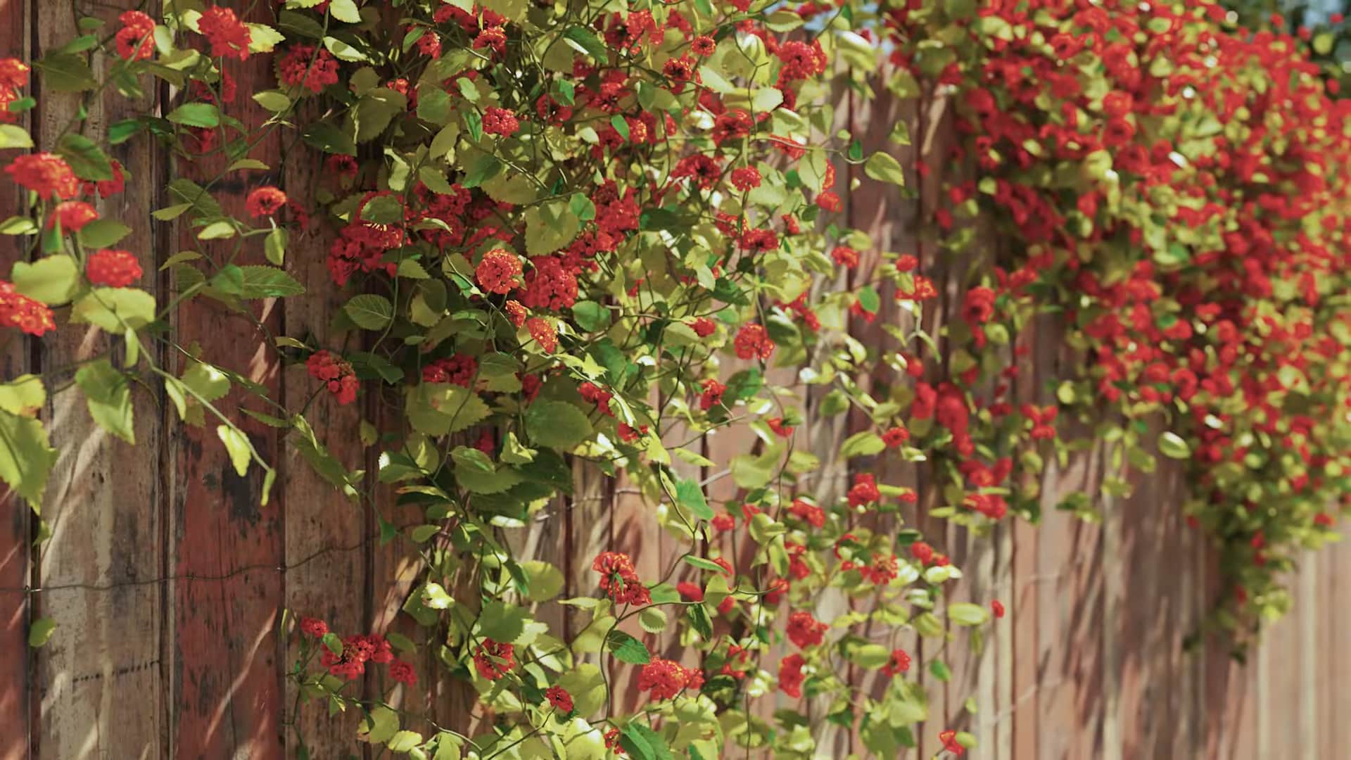 2 forestpack 9 is out now including forestivy a brand new plugin for 3ds max from itoosoft youtube 0029 digital production