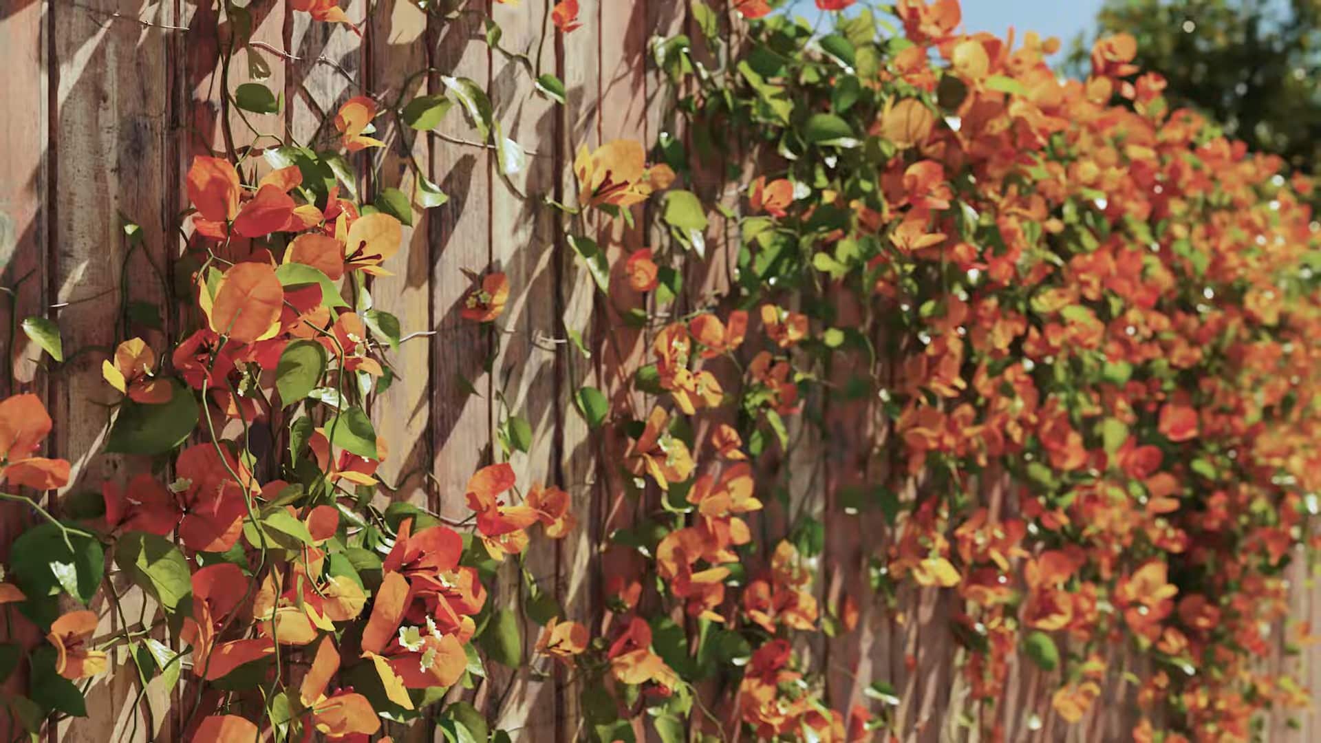 2 forestpack 9 is out now including forestivy a brand new plugin for 3ds max from itoosoft youtube 0030 digital production