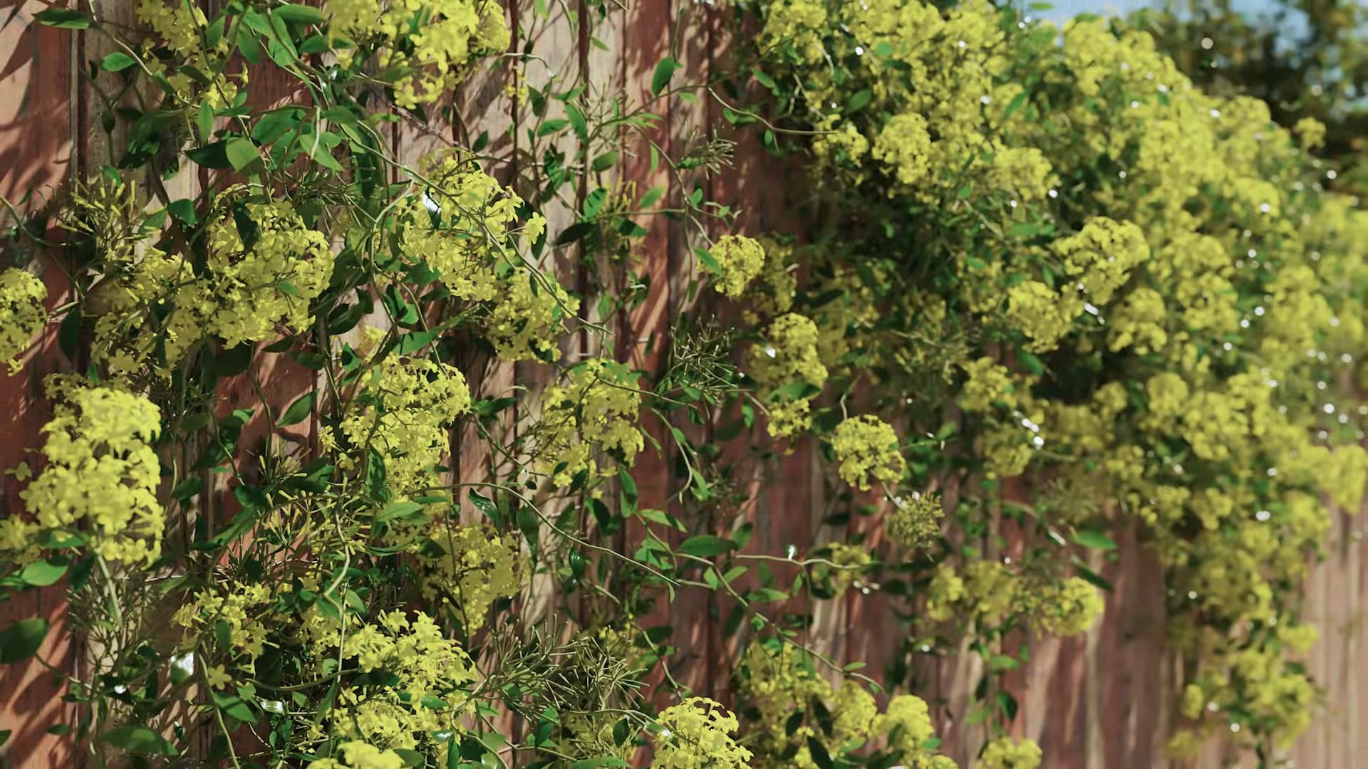 2 forestpack 9 is out now including forestivy a brand new plugin for 3ds max from itoosoft youtube 0031 digital production