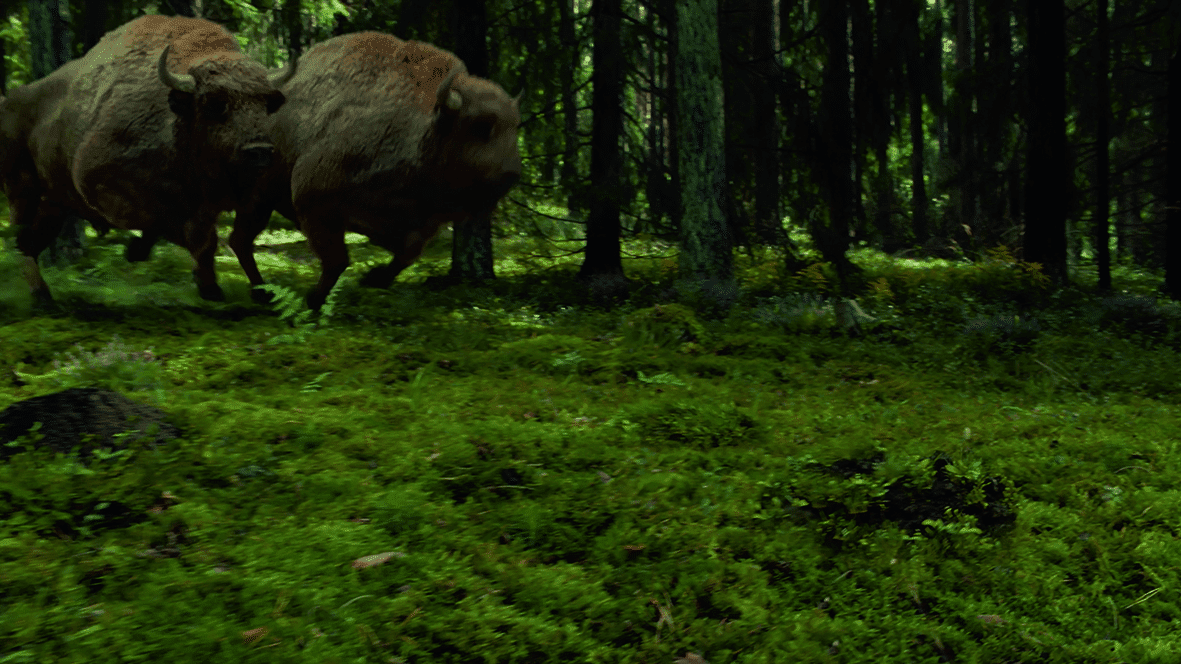 sequence 0100000407still004 digital production