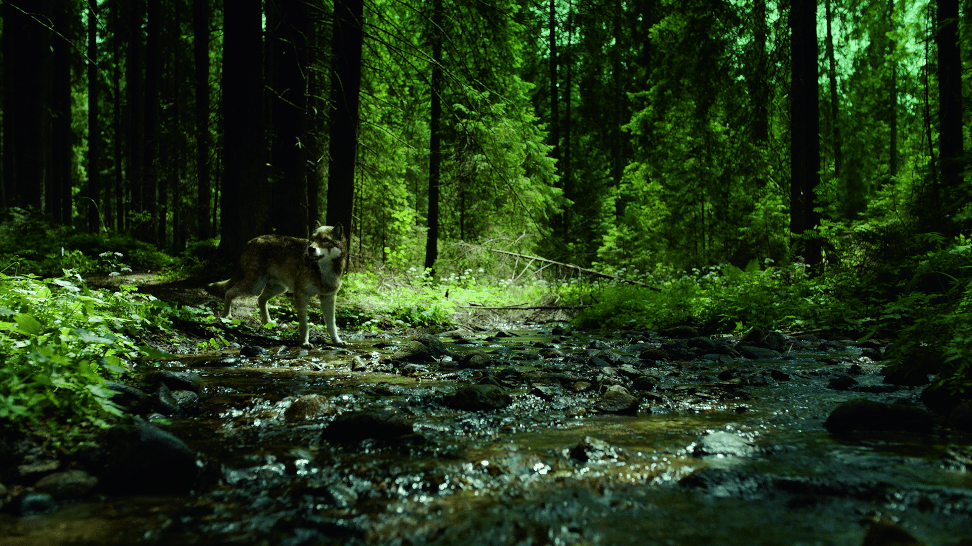 sequence 0100000418still007 digital production