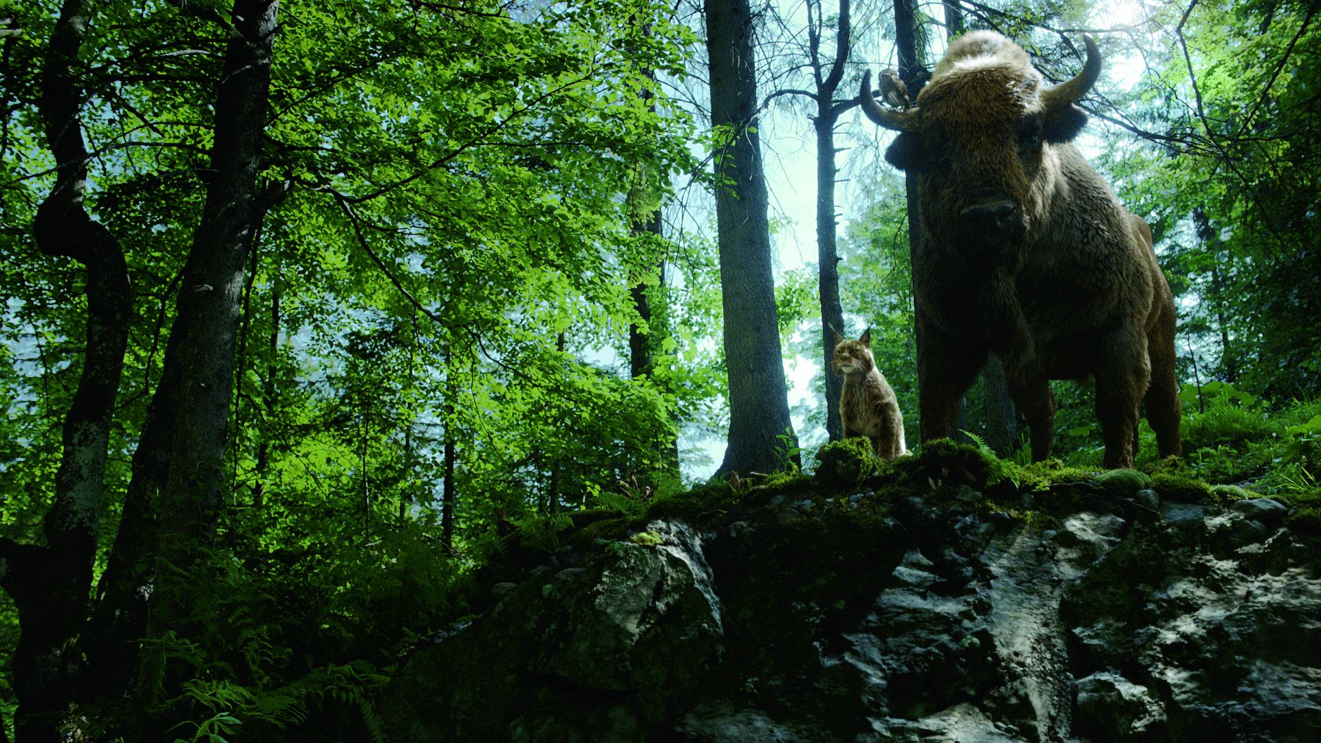 sequence 0100002922still0064k digital production