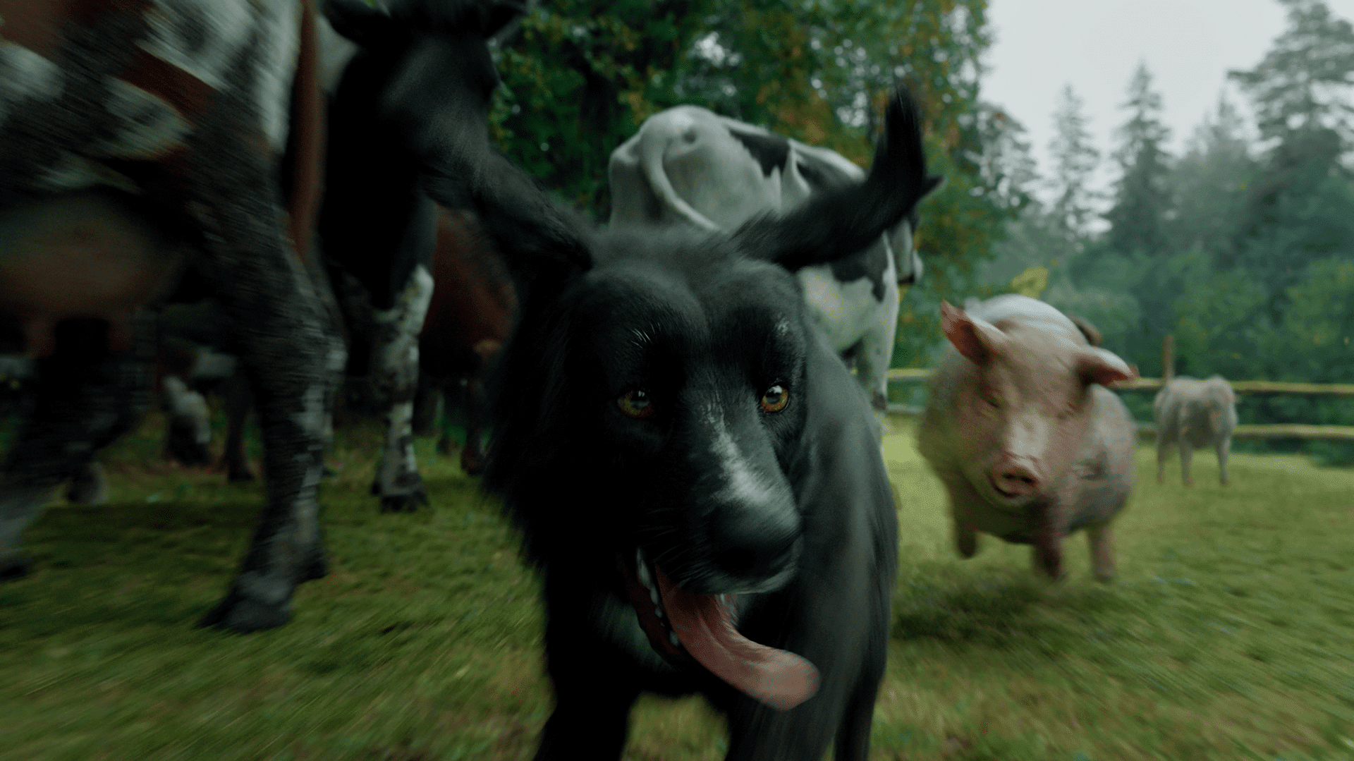 zubrpoplochcleanhd00000702still003 digital production