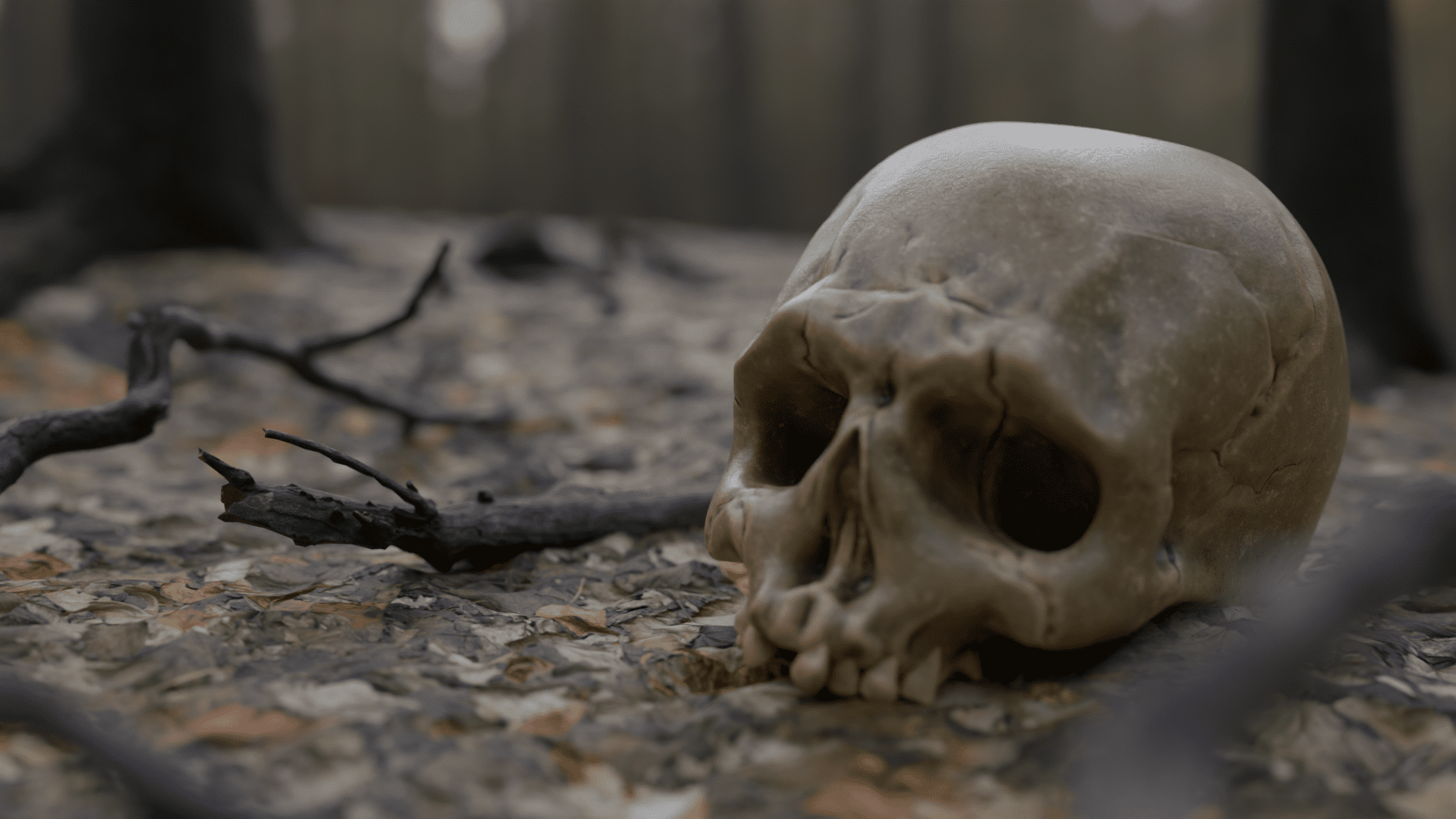 falling apart skull mit blur digital production