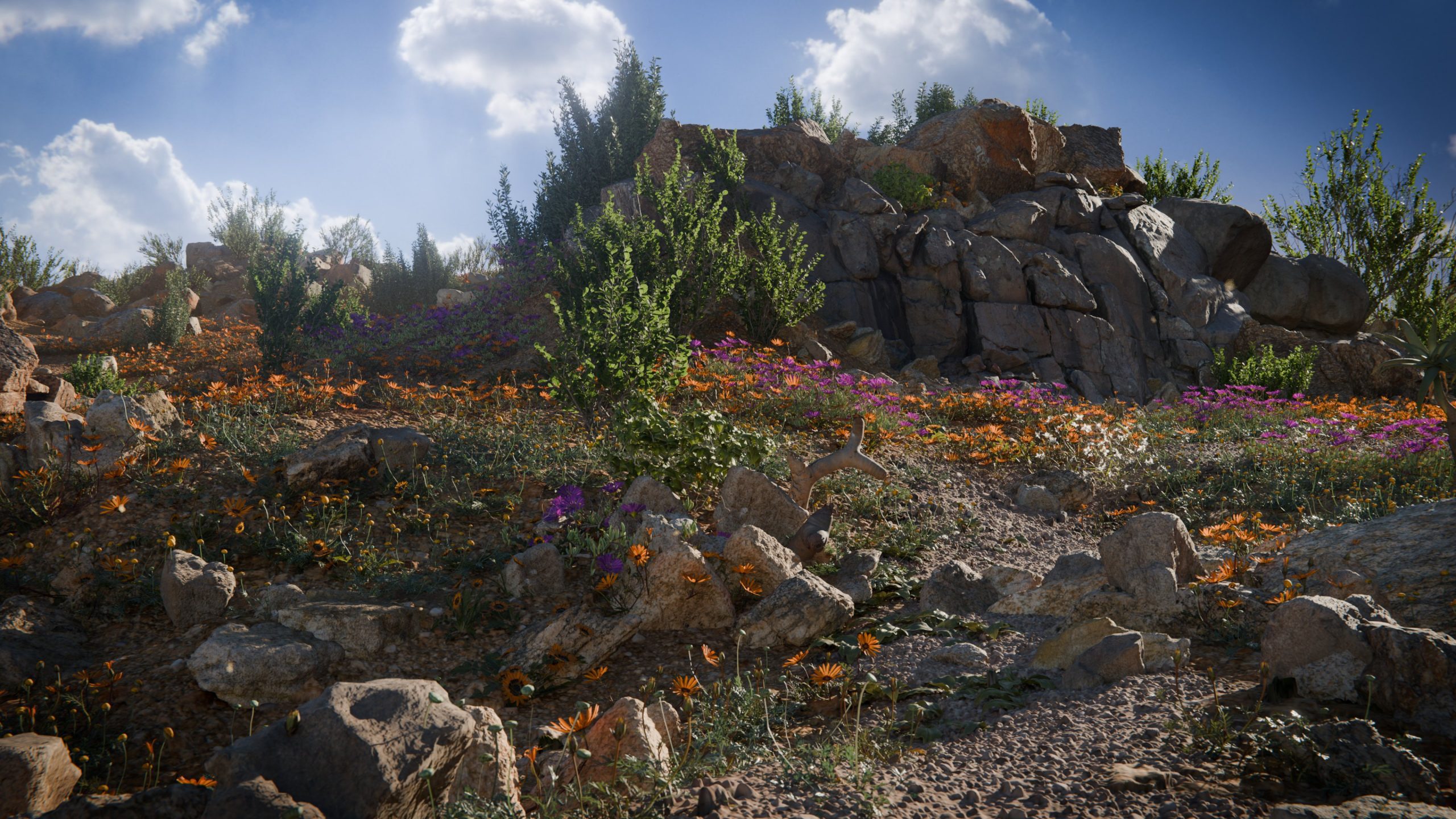 namaqualand45001scaled digital production