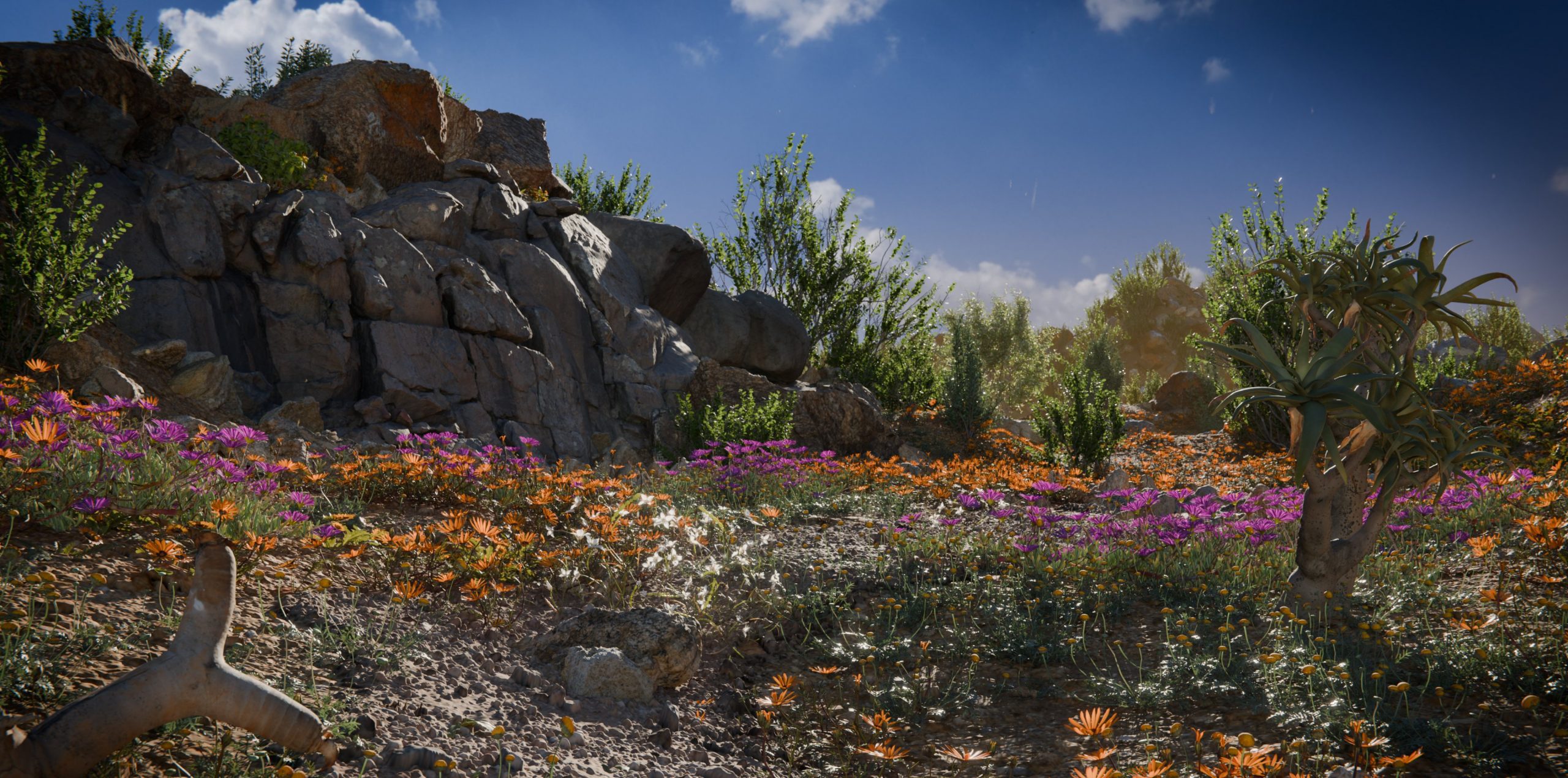 namaqualandscaled digital production