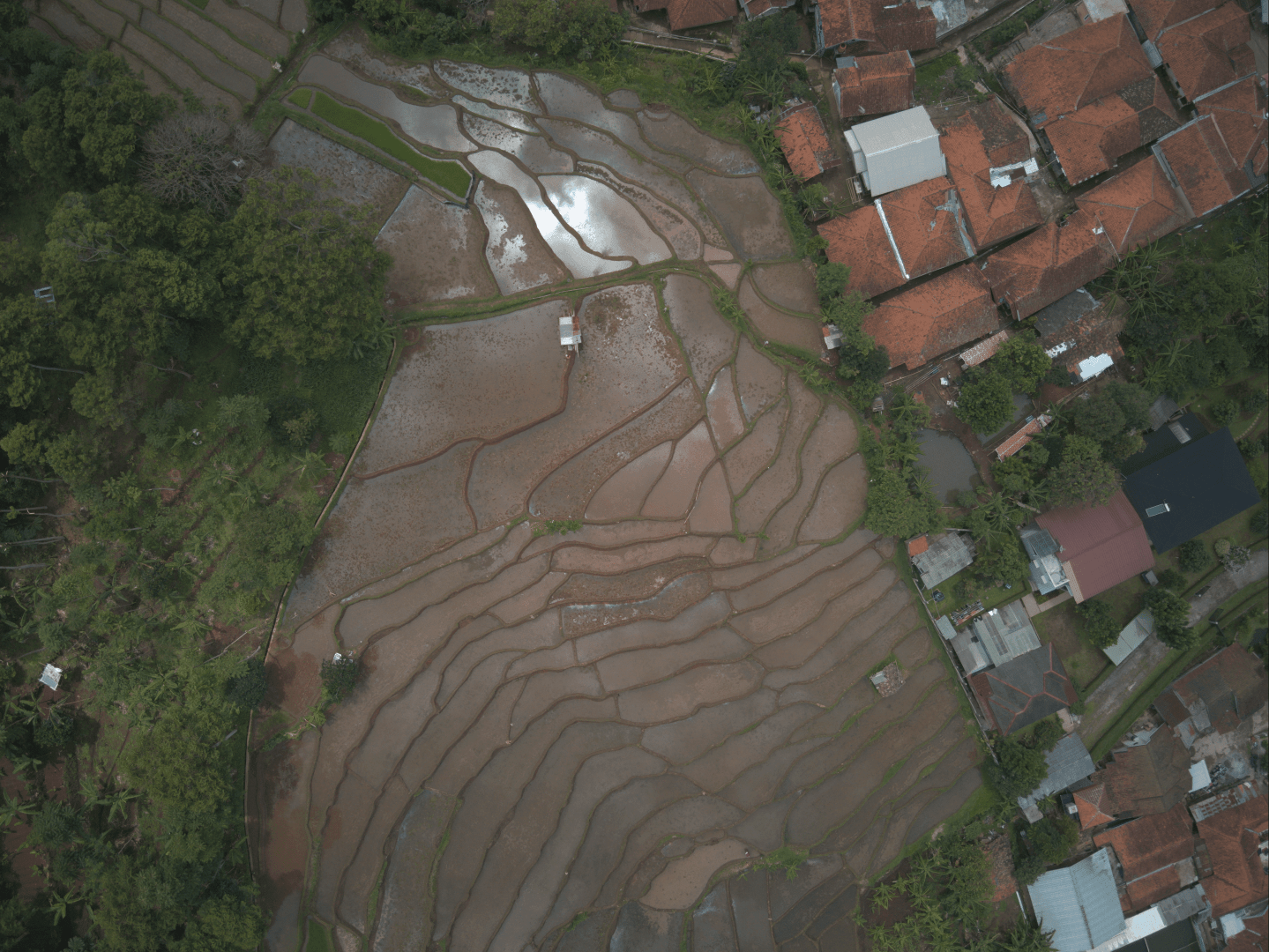 zeitlupeperfekt digital production