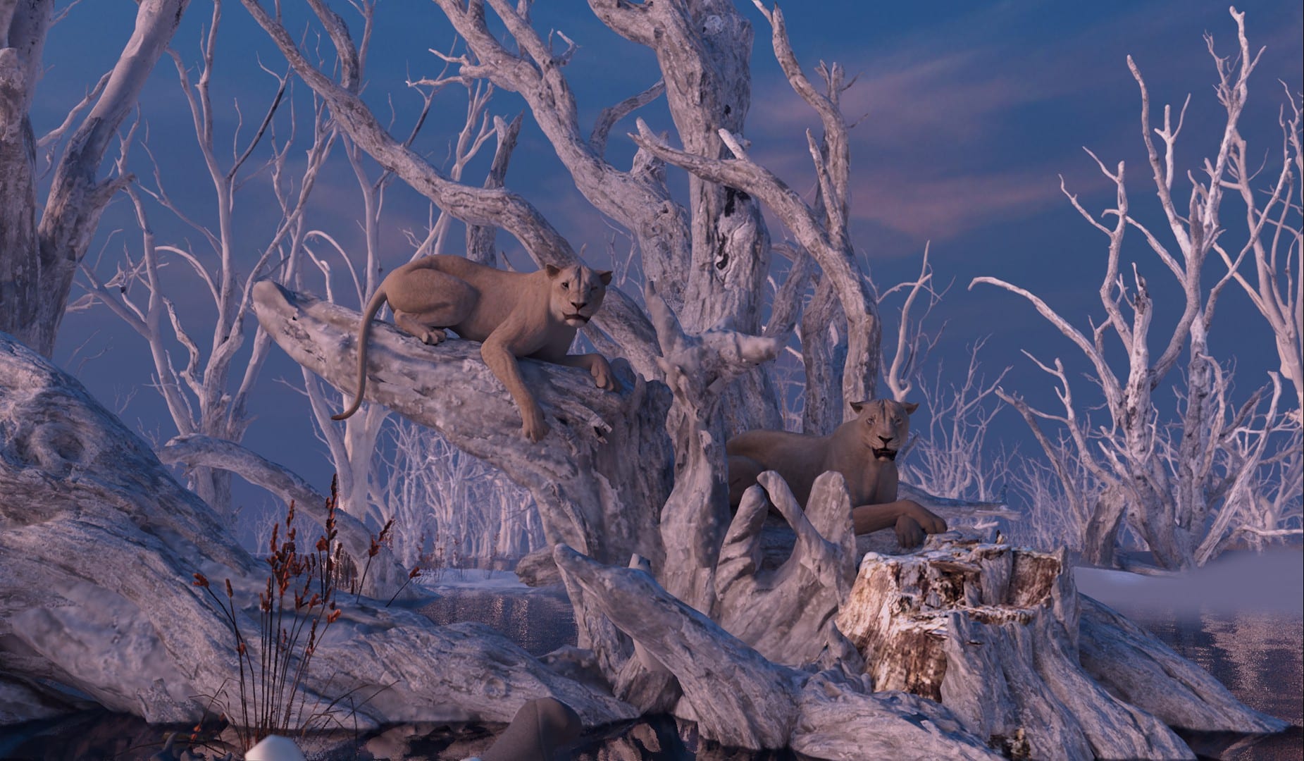 022wl0030stillanim1064hd digital production