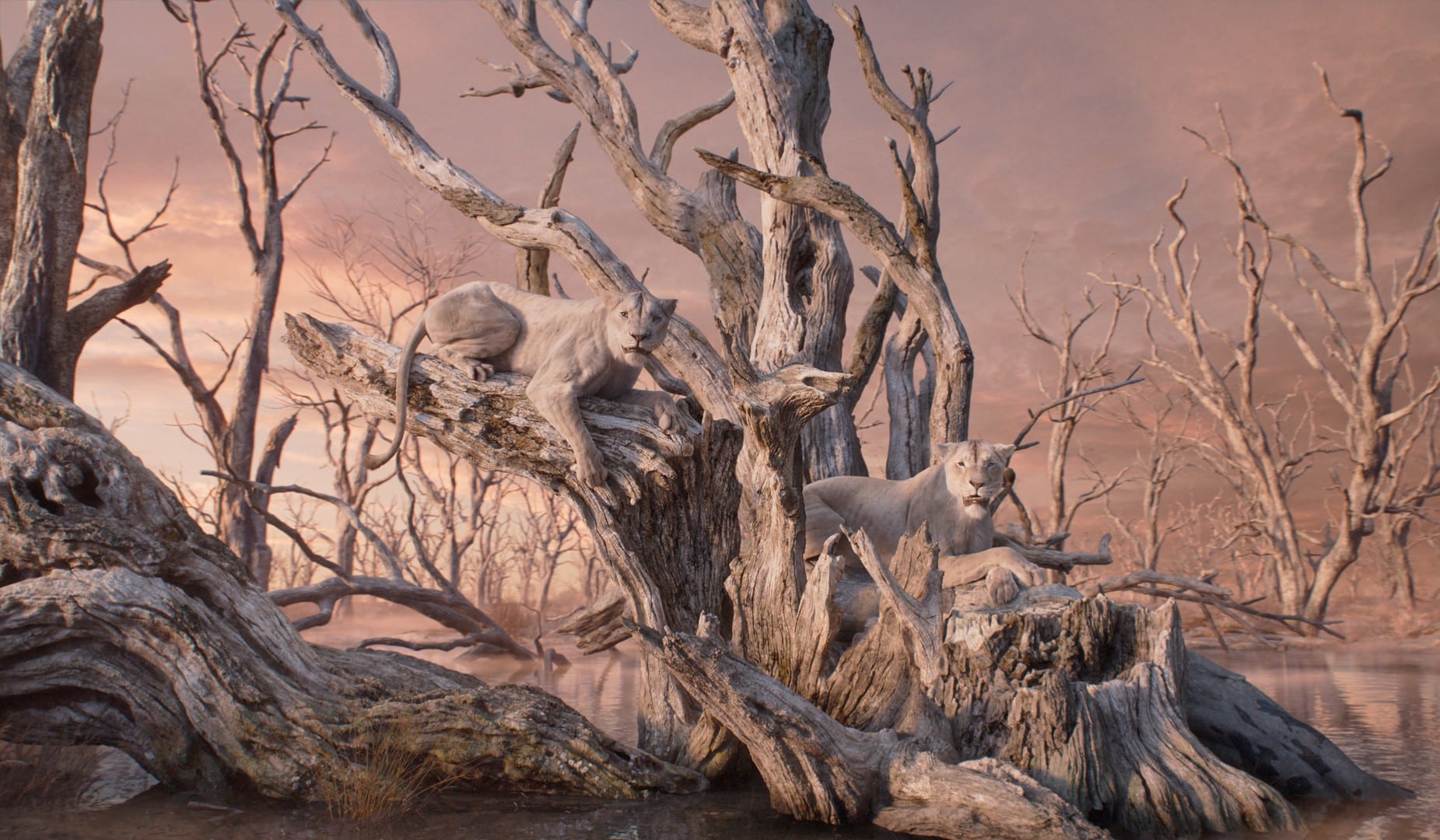 022wl0030stillcomp1064hd digital production