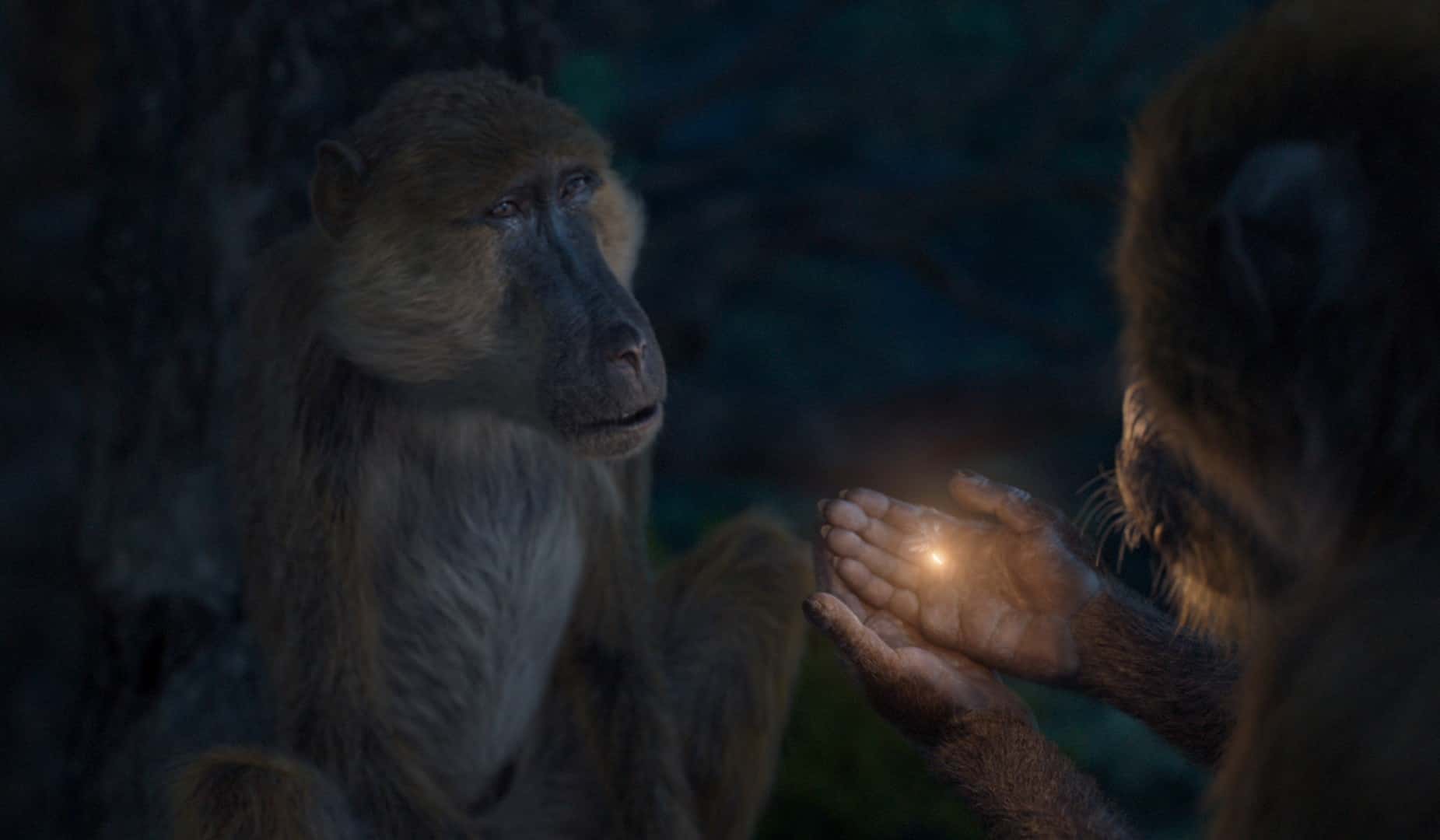 037jt0260stillcomp1535hd digital production