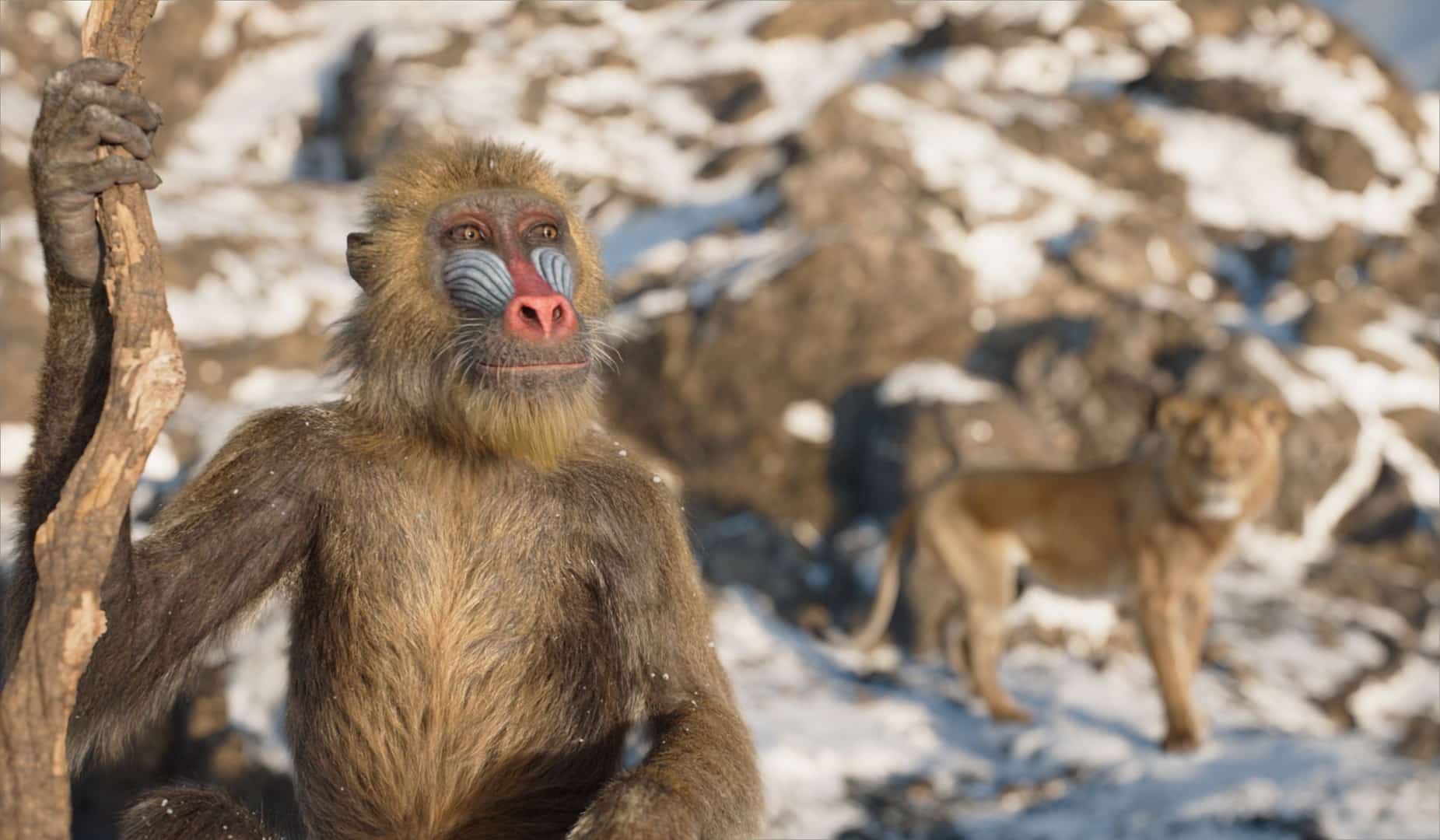 056mm1060stillcomp1148hd digital production