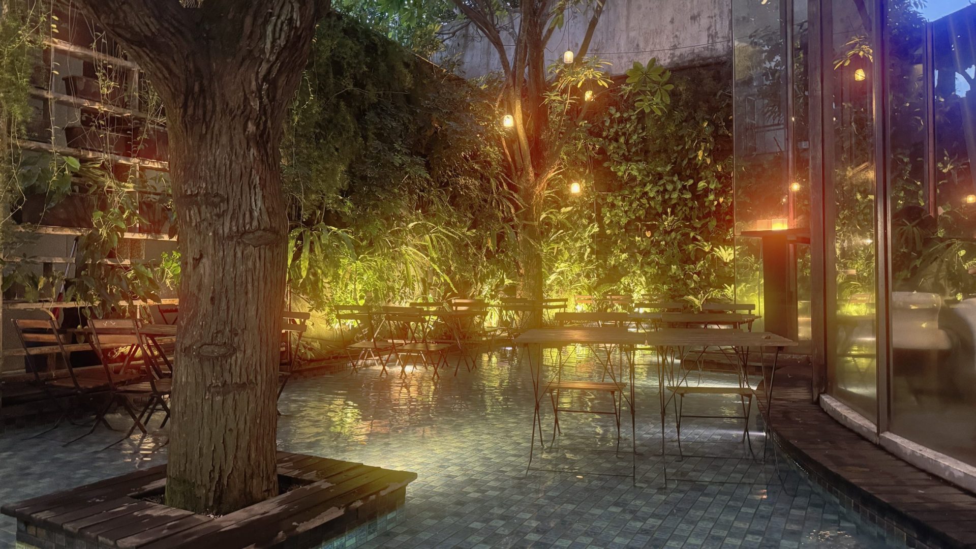 2401halationscatterblack promisthalf digital production