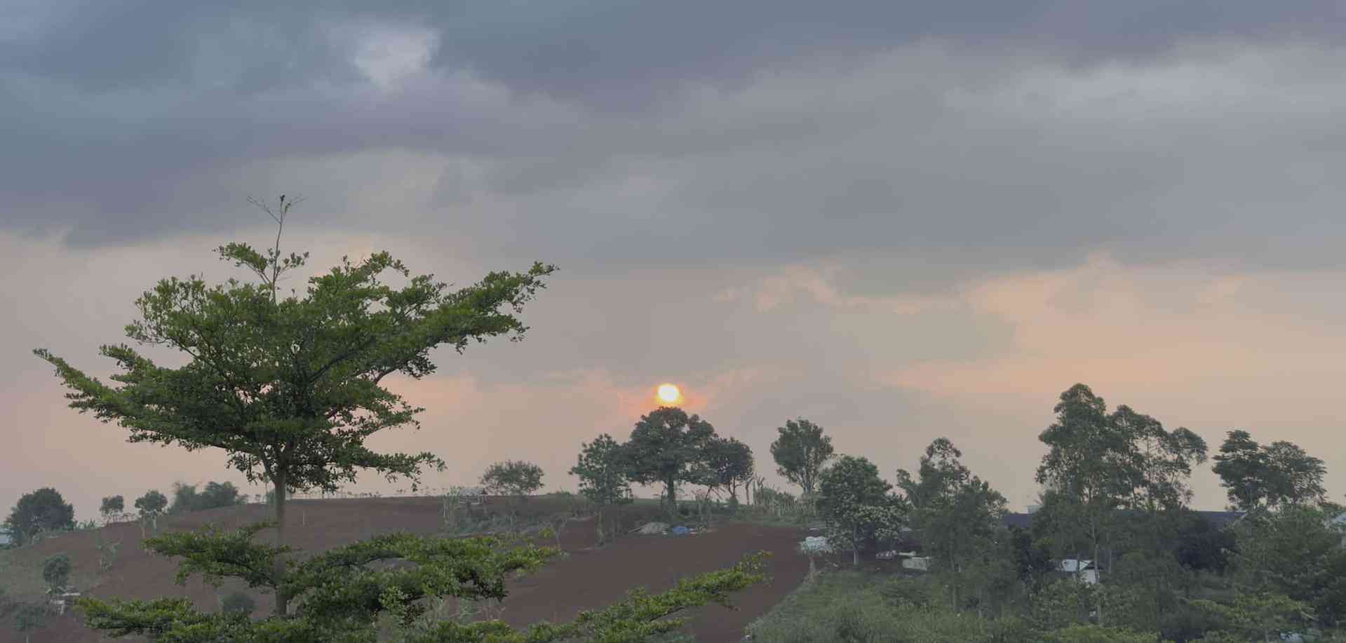 a scenic view of a sunset nestled between trees with a backdrop of distant hills and partially cloudy skies the soft orange glow of the sun contrasts against the muted colors of the landscape digital production A scenic view of a sunset nestled between trees, with a backdrop of distant hills and partially cloudy skies. The soft orange glow of the sun contrasts against the muted colors of the landscape.