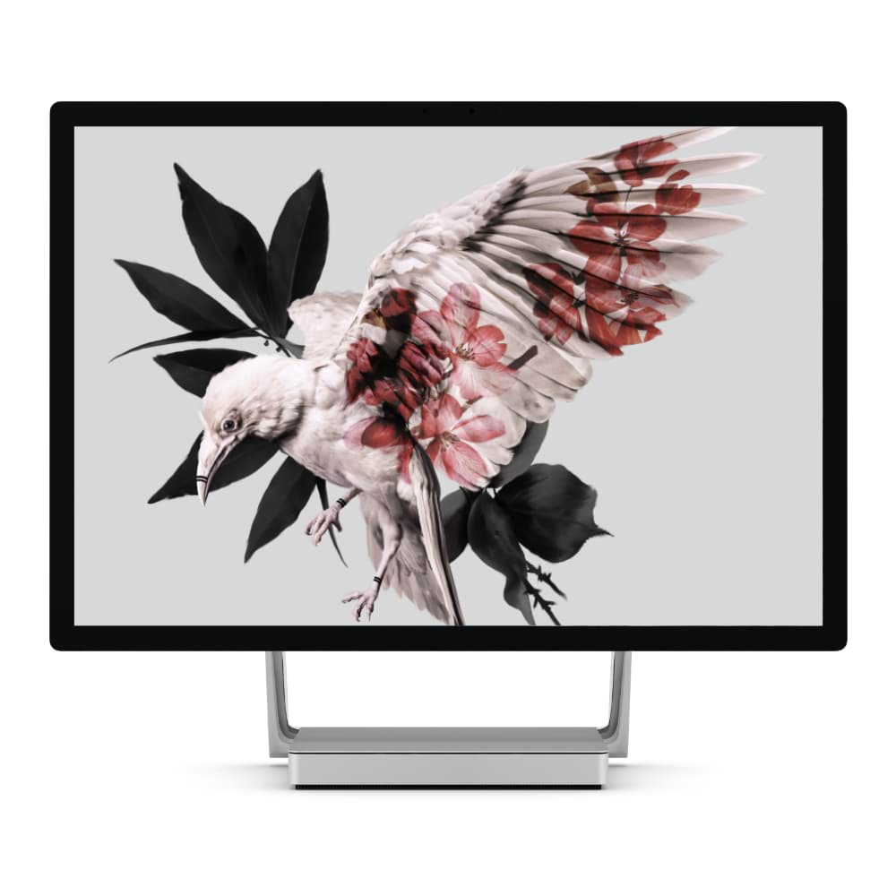 a computer monitor displaying an artistic image of a white bird with red floral designs on its wings and black leaves in the background digital production A computer monitor displaying an artistic image of a white bird with red floral designs on its wings and black leaves in the background.