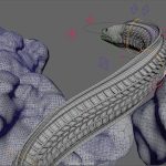3d wireframe model of a snake gliding through a rocky landscape with geometric shapes indicating movement and depth the background features textured rocks represented in a mesh format digital production 3D wireframe model of a snake gliding through a rocky landscape, with geometric shapes indicating movement and depth. The background features textured rocks represented in a mesh format.