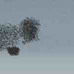 an abstract digital rendering showing clusters of small black shapes against a light grey background with a simplified film camera icon on the right side digital production An abstract digital rendering showing clusters of small black shapes against a light grey background, with a simplified film camera icon on the right side.