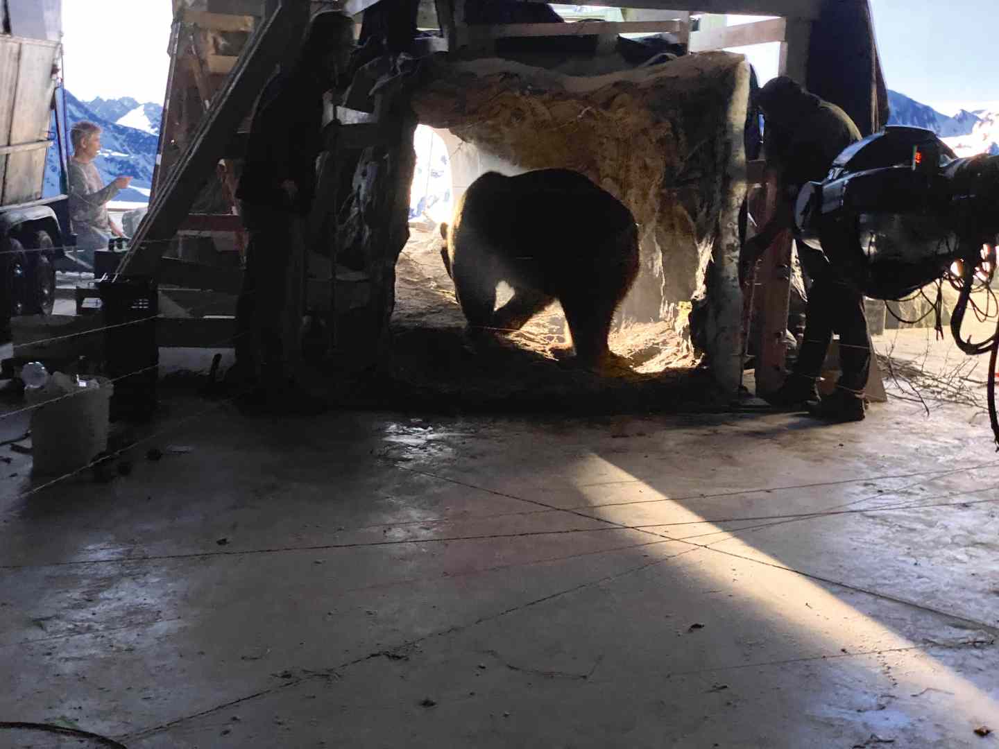 a bear emerging from a cavelike set structure on a film set with crew members and equipment visible in the background surrounded by a mountain landscape digital production A bear emerging from a cave-like set structure on a film set, with crew members and equipment visible in the background, surrounded by a mountain landscape.