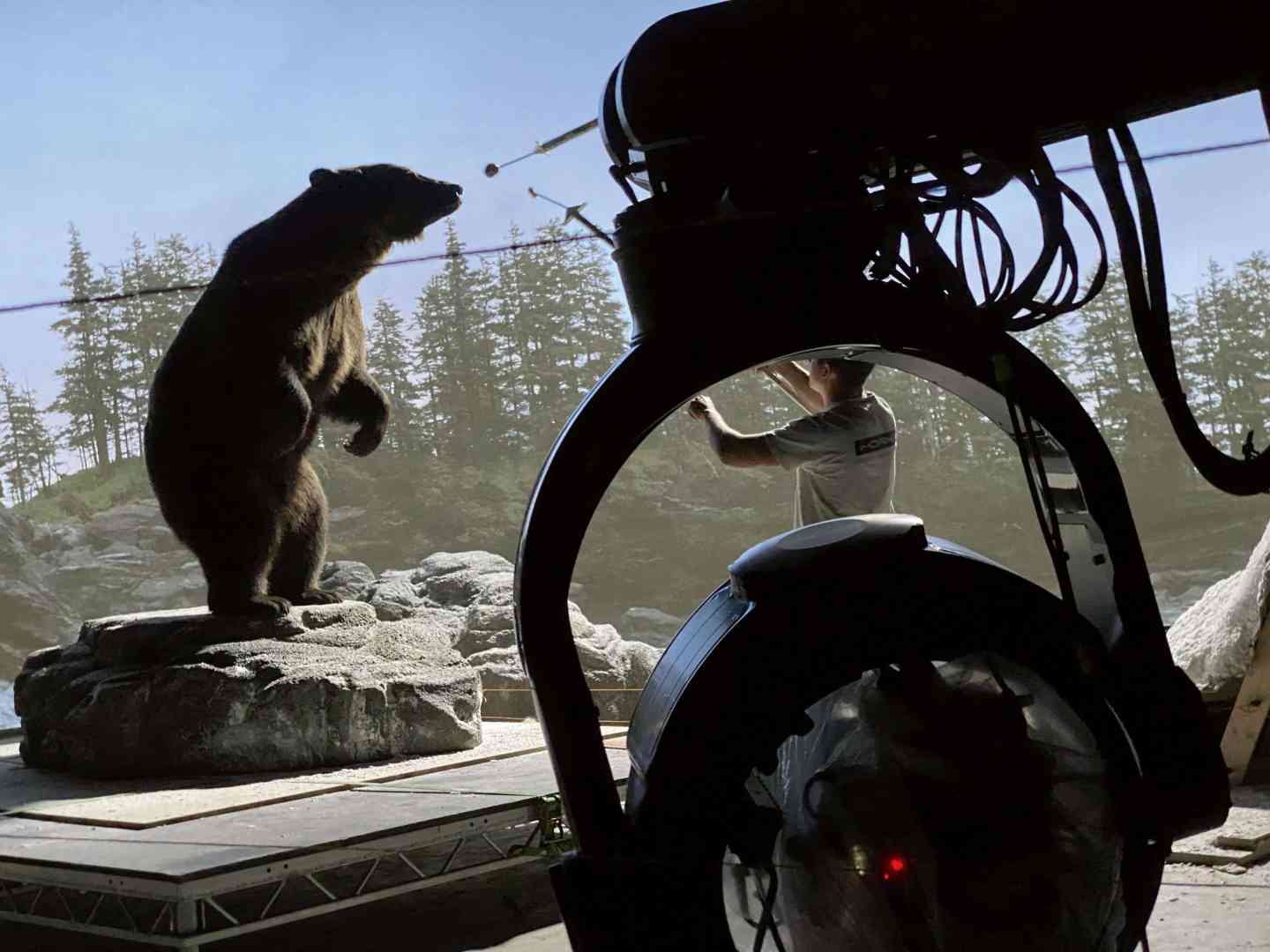 a bear standing on a rock in a naturalistic setting with a person behind a camera setup in the foreground capturing the scene the background features greenery and a clear sky digital production A bear standing on a rock in a naturalistic setting, with a person behind a camera setup in the foreground, capturing the scene. The background features greenery and a clear sky.