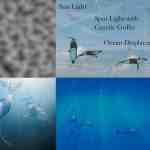 a digital collage showing various underwater effects and elements top left patterns of water surface top right labeled diagram including terms like sun light and hdri bottom left two large fish swimming underwater bottom right a diver and fish in clear blue water digital production A digital collage showing various underwater effects and elements. Top left: patterns of water surface. Top right: labeled diagram including terms like 'Sun Light' and 'HDRI.' Bottom left: two large fish swimming underwater. Bottom right: a diver and fish in clear blue water.