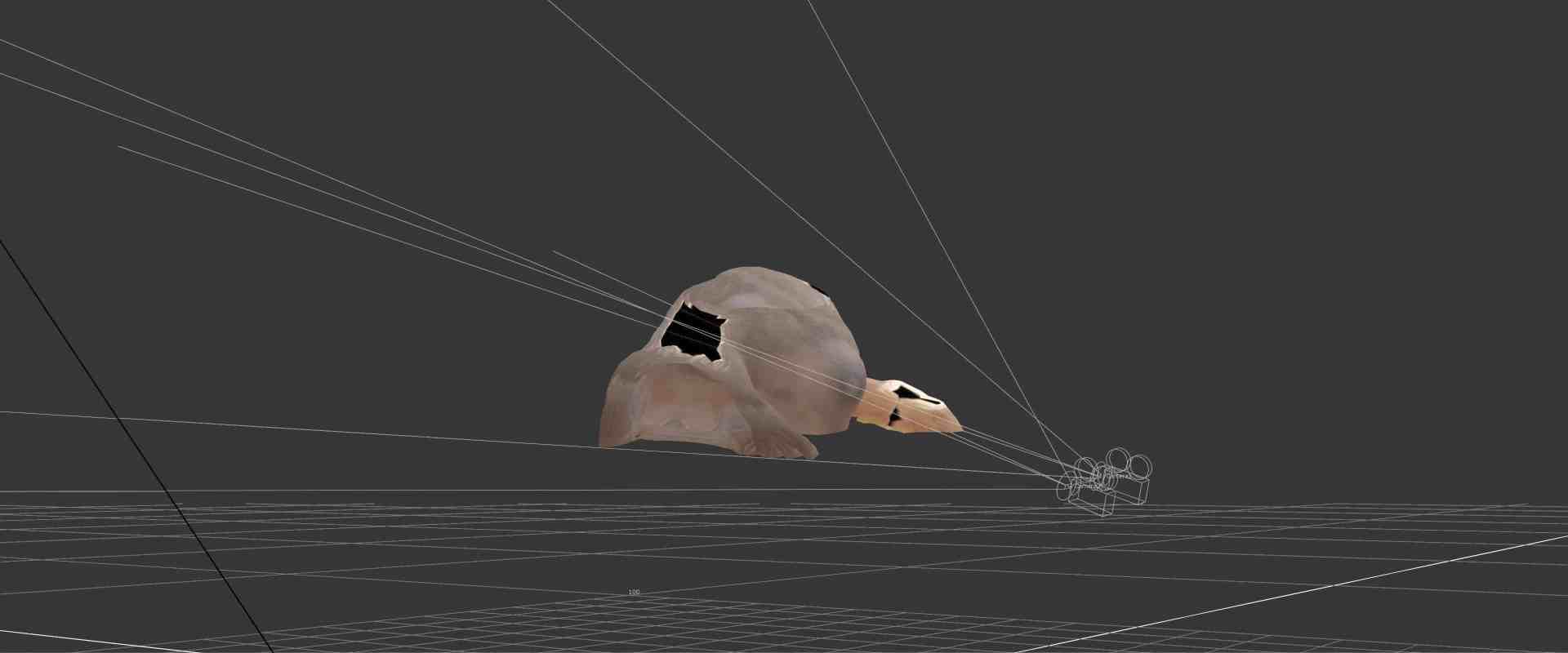 a 3d model of a turtle shown in a digital workspace with a grid floor and guiding lines for perspective the turtle is primarily light brown with dark spots and has an oblong shell digital production A 3D model of a turtle shown in a digital workspace with a grid floor and guiding lines for perspective. The turtle is primarily light brown with dark spots and has an oblong shell.