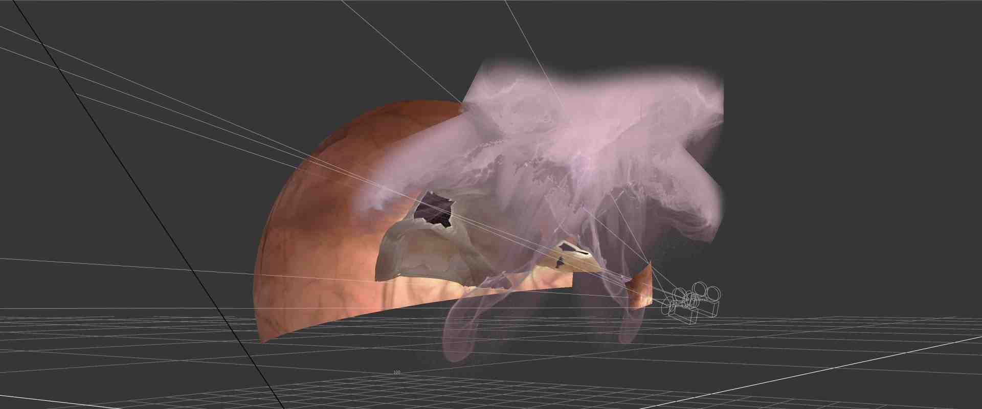 a 3d digital rendering showcasing a semitransparent organic form with flowing shapes overlaid on a geometric grid background highlighting intricate internal features digital production A 3D digital rendering showcasing a semi-transparent organic form with flowing shapes, overlaid on a geometric grid background, highlighting intricate internal features.