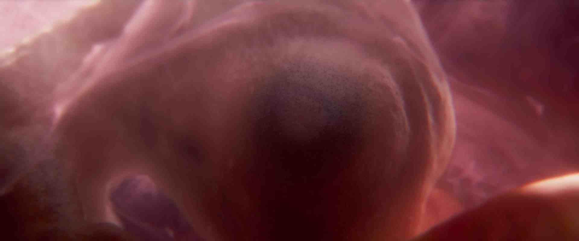 closeup of a gelatinous translucent organism in a dim underwater setting the curves and textures of its body are visible with soft lighting enhancing its details digital production Close-up of a gelatinous, translucent organism in a dim underwater setting. The curves and textures of its body are visible, with soft lighting enhancing its details.