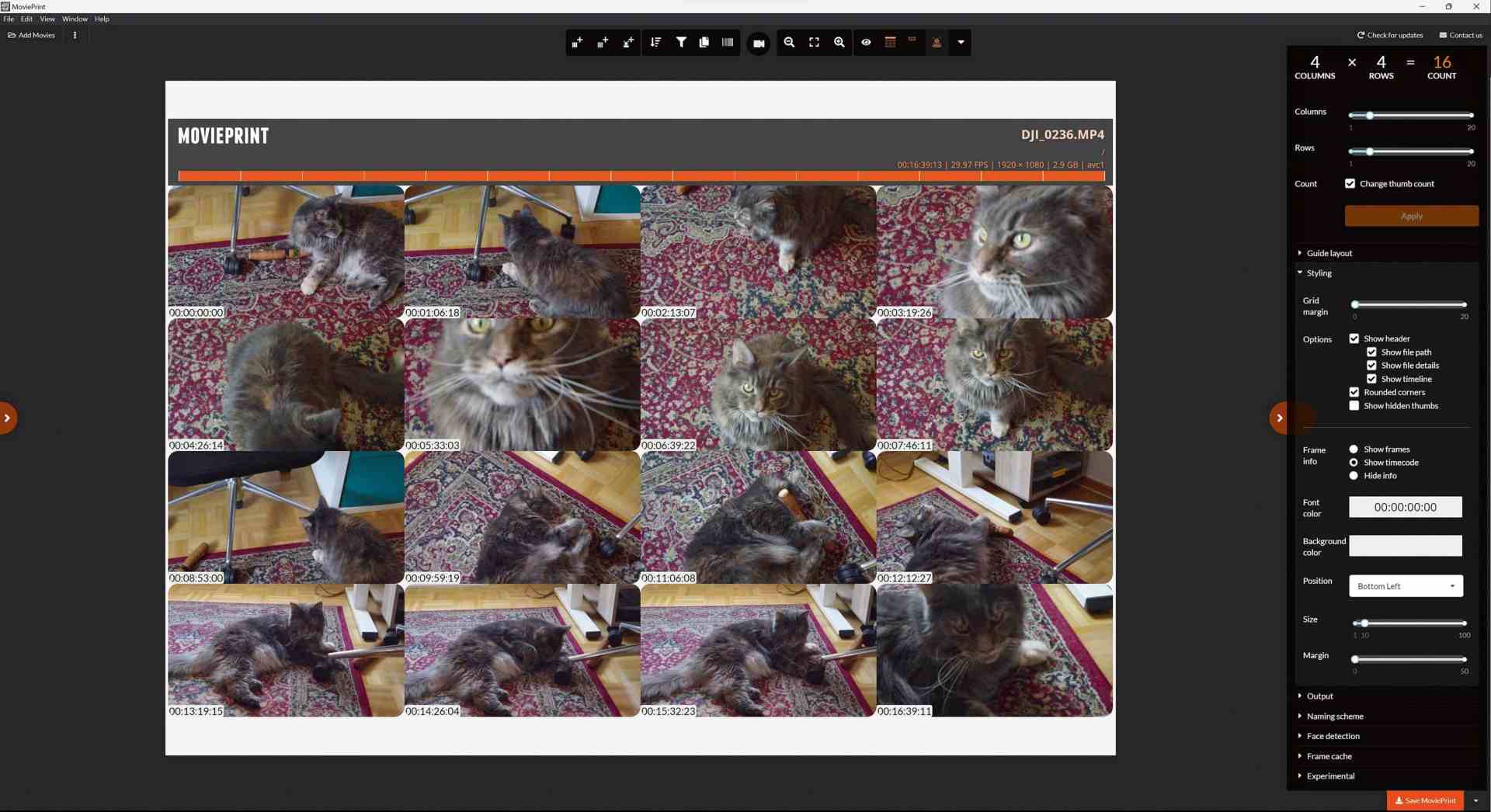a digital editing interface displaying a grid of images featuring a tabby cat on a patterned rug along with editing tools on the right side digital production A digital editing interface displaying a grid of images featuring a tabby cat on a patterned rug, along with editing tools on the right side.