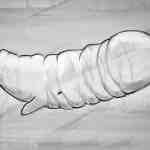 a stylized illustration of a whale shaped like a plastic bottle blending elements of marine life and environmental commentary the drawing is monochrome emphasizing the contrast against a subtle background digital production A stylized illustration of a whale shaped like a plastic bottle, blending elements of marine life and environmental commentary. The drawing is monochrome, emphasizing the contrast against a subtle background.