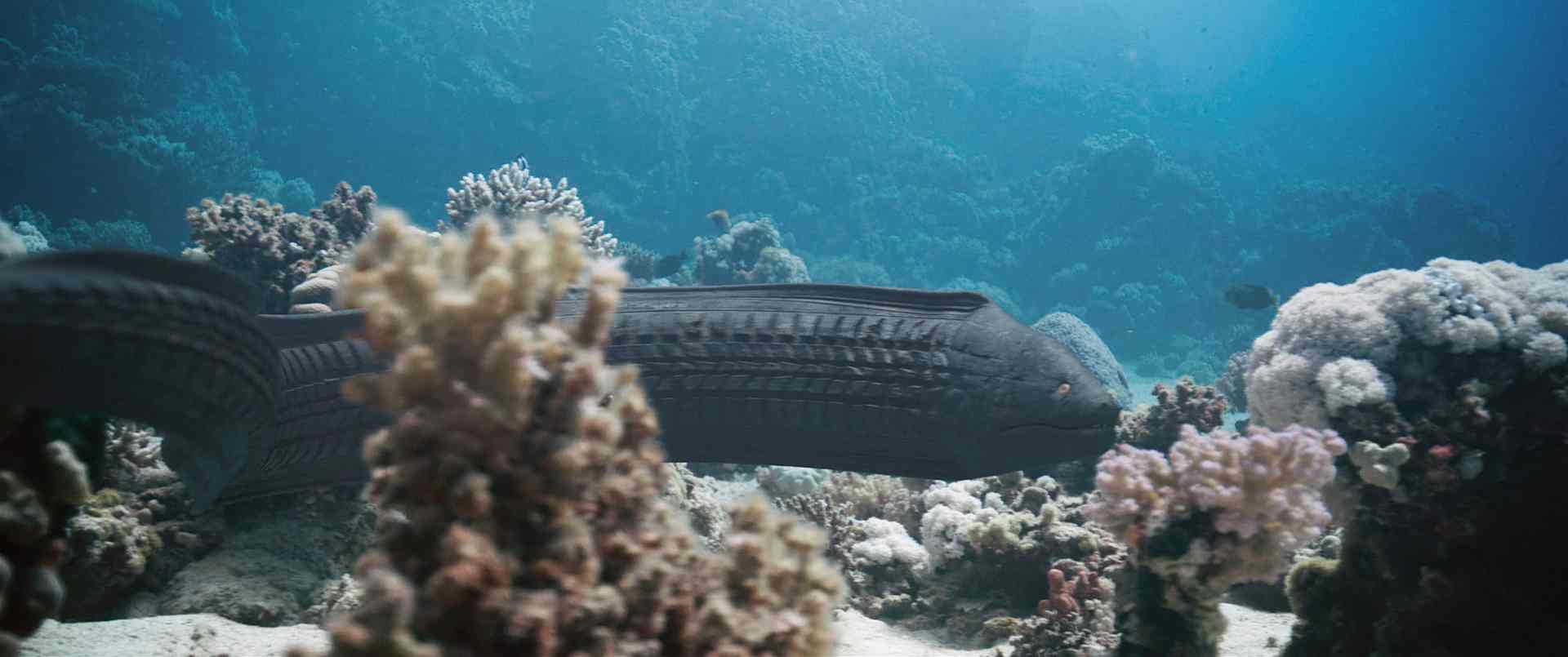 a moray eel swimming among coral reefs in clear blue water showcasing the vibrant underwater ecosystem digital production A moray eel swimming among coral reefs in clear blue water, showcasing the vibrant underwater ecosystem.