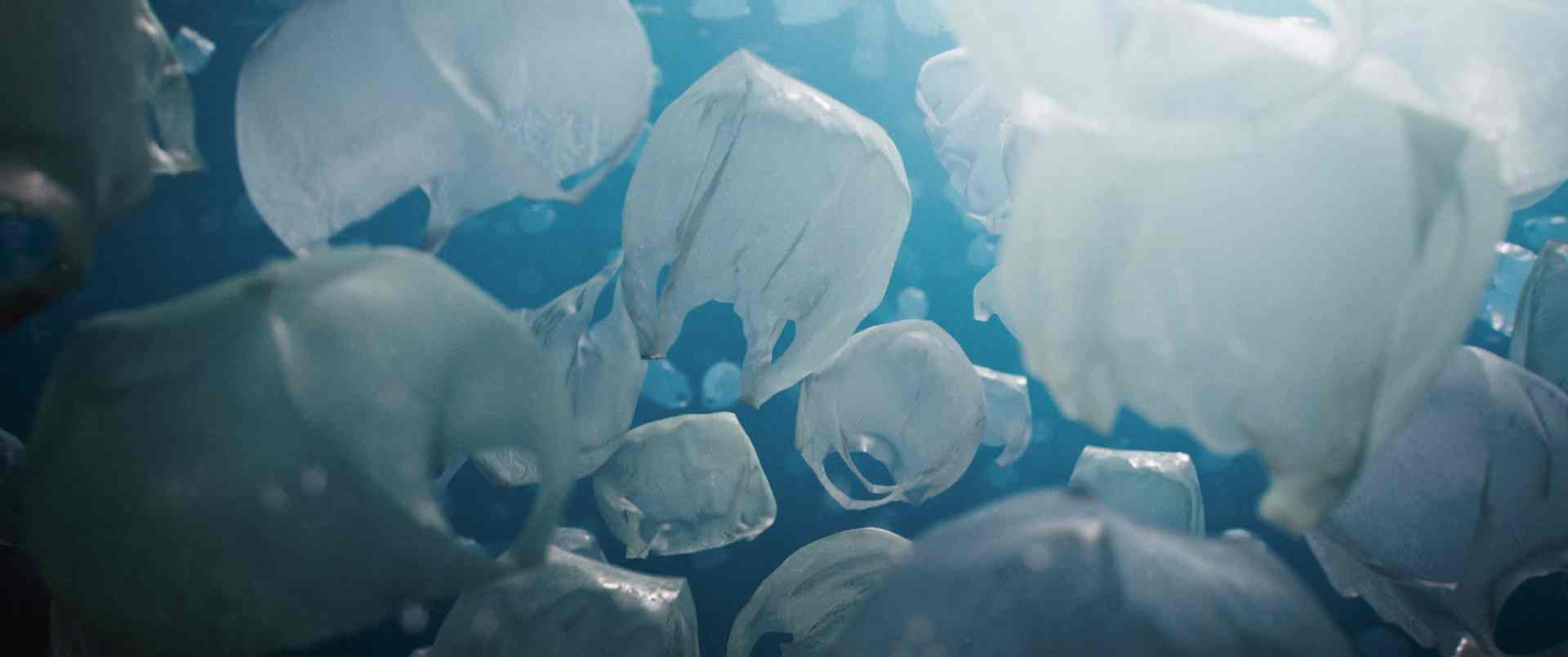 a closeup view of jellyfish floating underwater with a blue background the translucent bodies are illuminated showing details of their shape and texture bubbles are visible around them enhancing the underwater scene digital production A close-up view of jellyfish floating underwater with a blue background. The translucent bodies are illuminated, showing details of their shape and texture. Bubbles are visible around them, enhancing the underwater scene.
