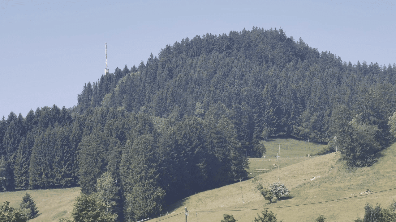 forestcovered hill with a communications tower digital production Forest-covered hill with a communications tower