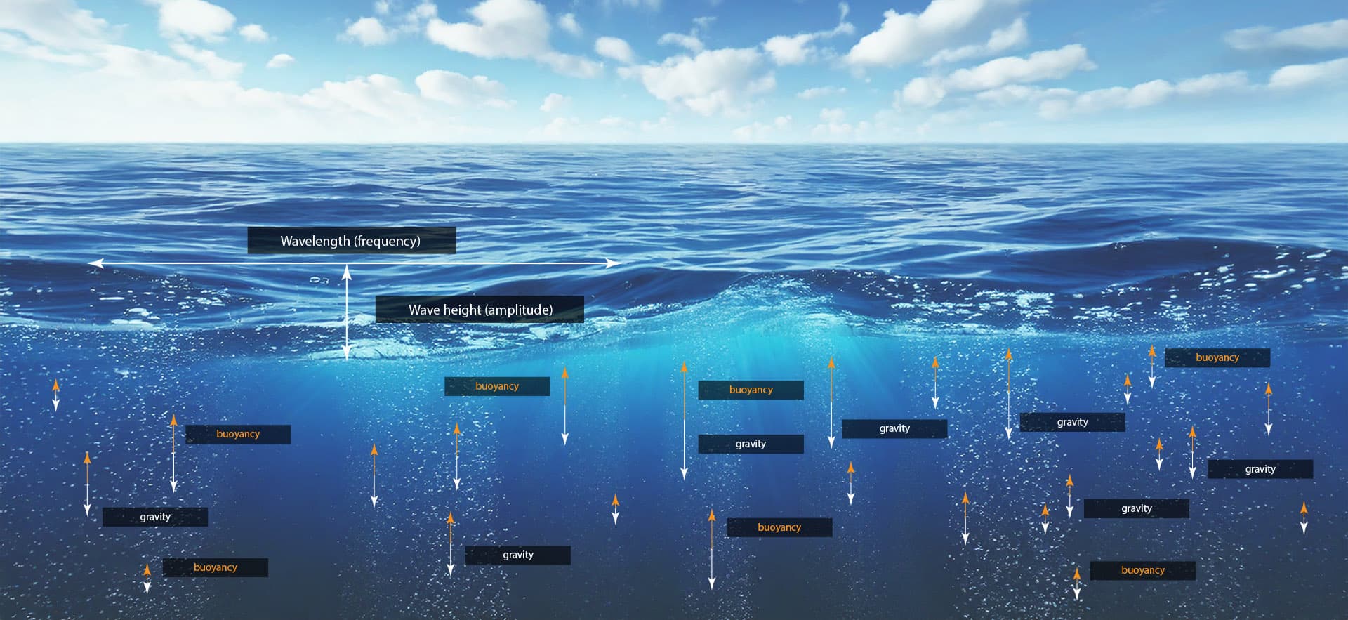 illustration of ocean waves showing wavelength and gravity effects digital production Illustration of ocean waves showing wavelength and gravity effects.