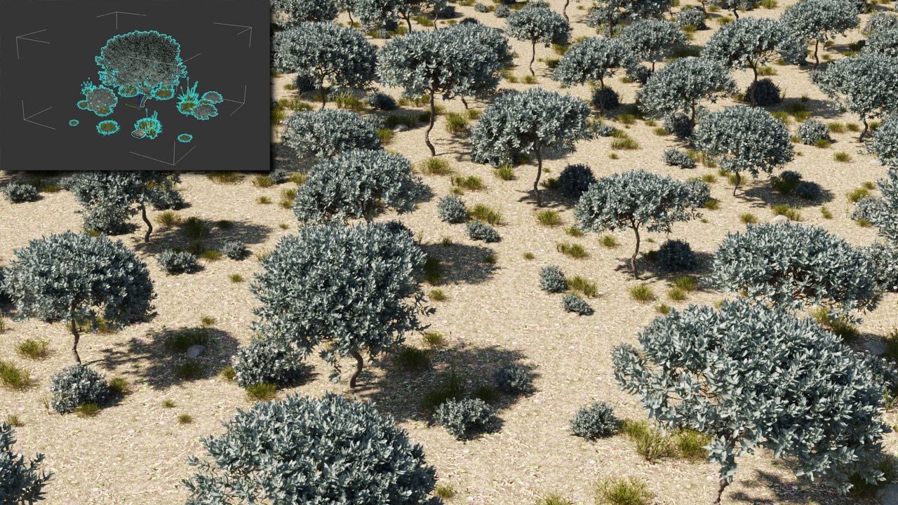 aerial view of olive trees in a sandy landscape with a graphic overlay digital production Aerial view of olive trees in a sandy landscape with a graphic overlay.