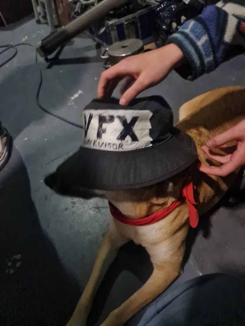 a dog wearing a large black hat with the text vpx supervisor on the front sitting on a gray floor two hands are adjusting the hat on the dogs head various objects are visible in the background digital production A dog wearing a large black hat with the text "VPX Supervisor" on the front, sitting on a gray floor. Two hands are adjusting the hat on the dog's head. Various objects are visible in the background.