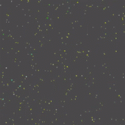 Marine-Snow-Simulation in Houdini