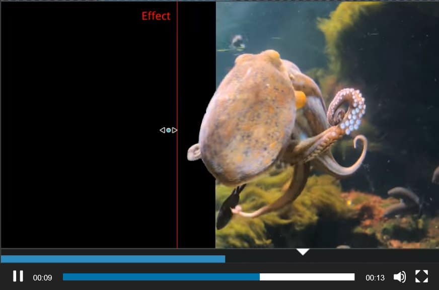 an octopus swimming in an aquarium with a dark background featuring text overlay labeled effect digital production An octopus swimming in an aquarium with a dark background featuring text overlay labeled 'Effect'.