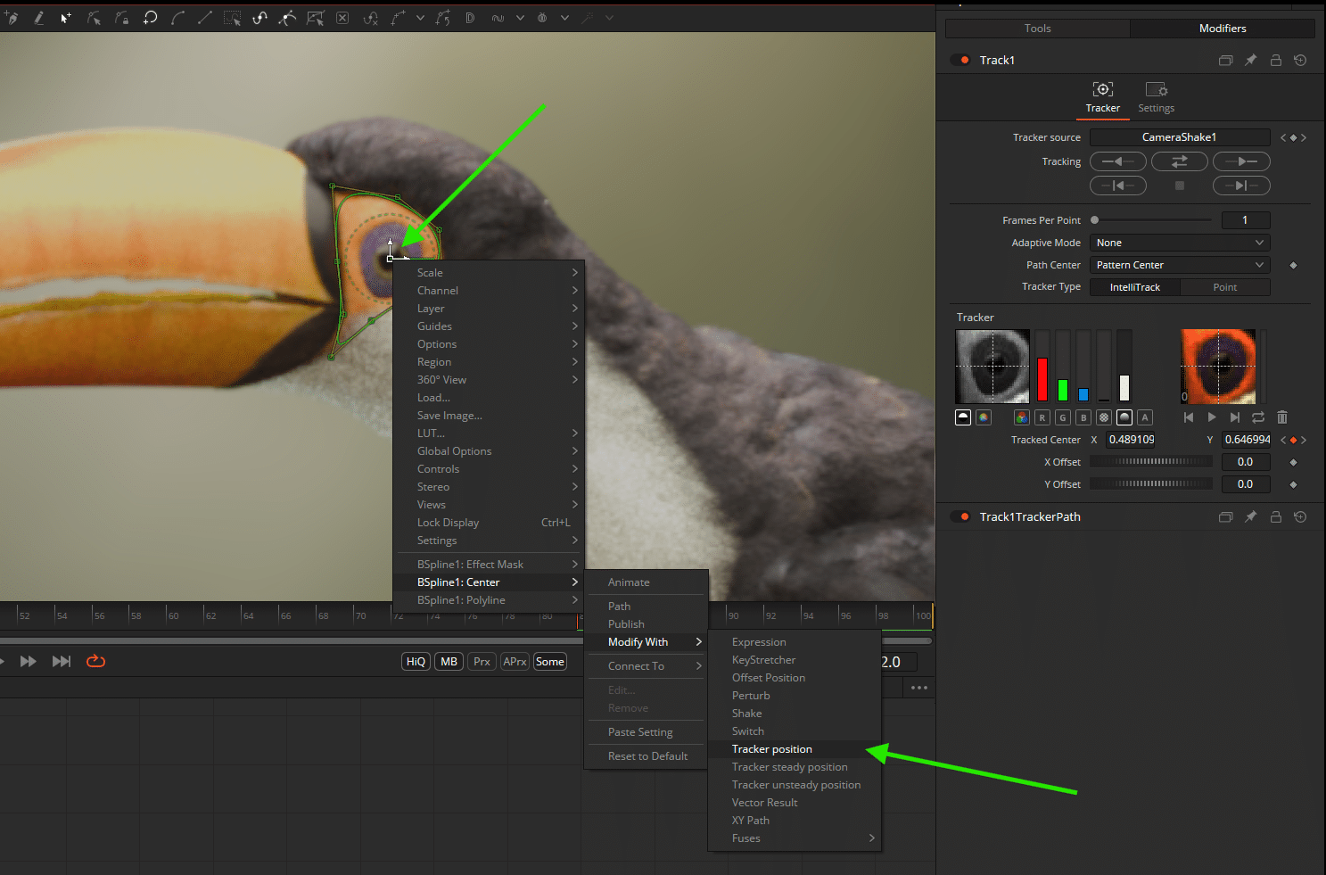 editing software interface with a focus on a toucans eye and tool options visible digital production Editing software interface with a focus on a toucan's eye and tool options visible