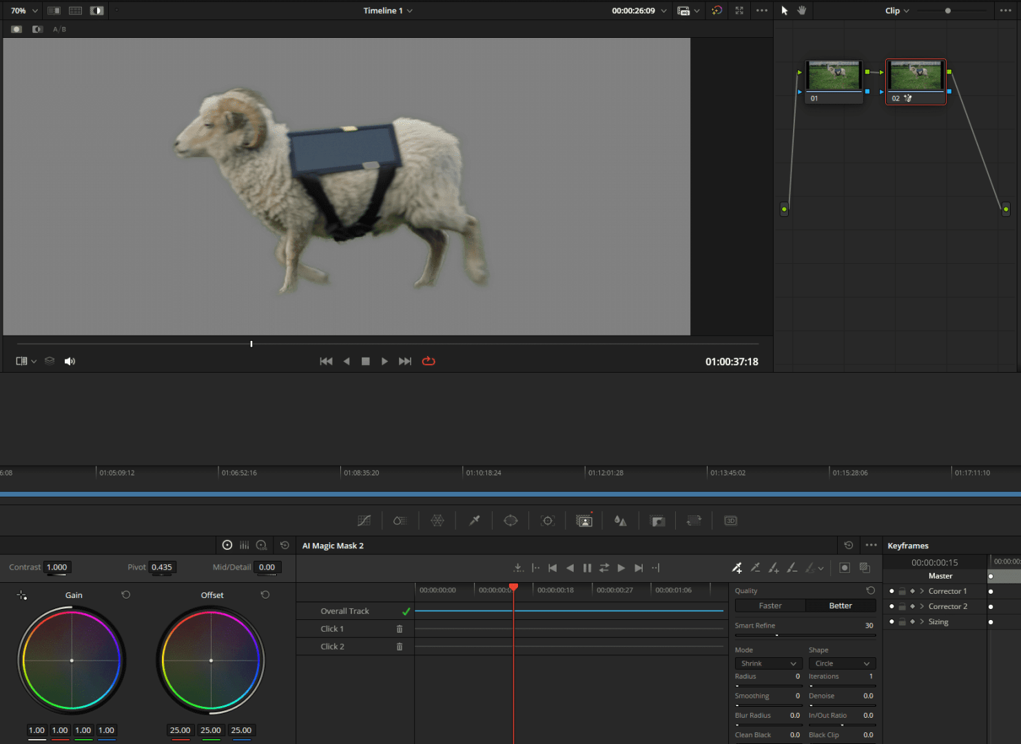 a sheep wearing a harness in video editing software digital production A sheep wearing a harness in video editing software.