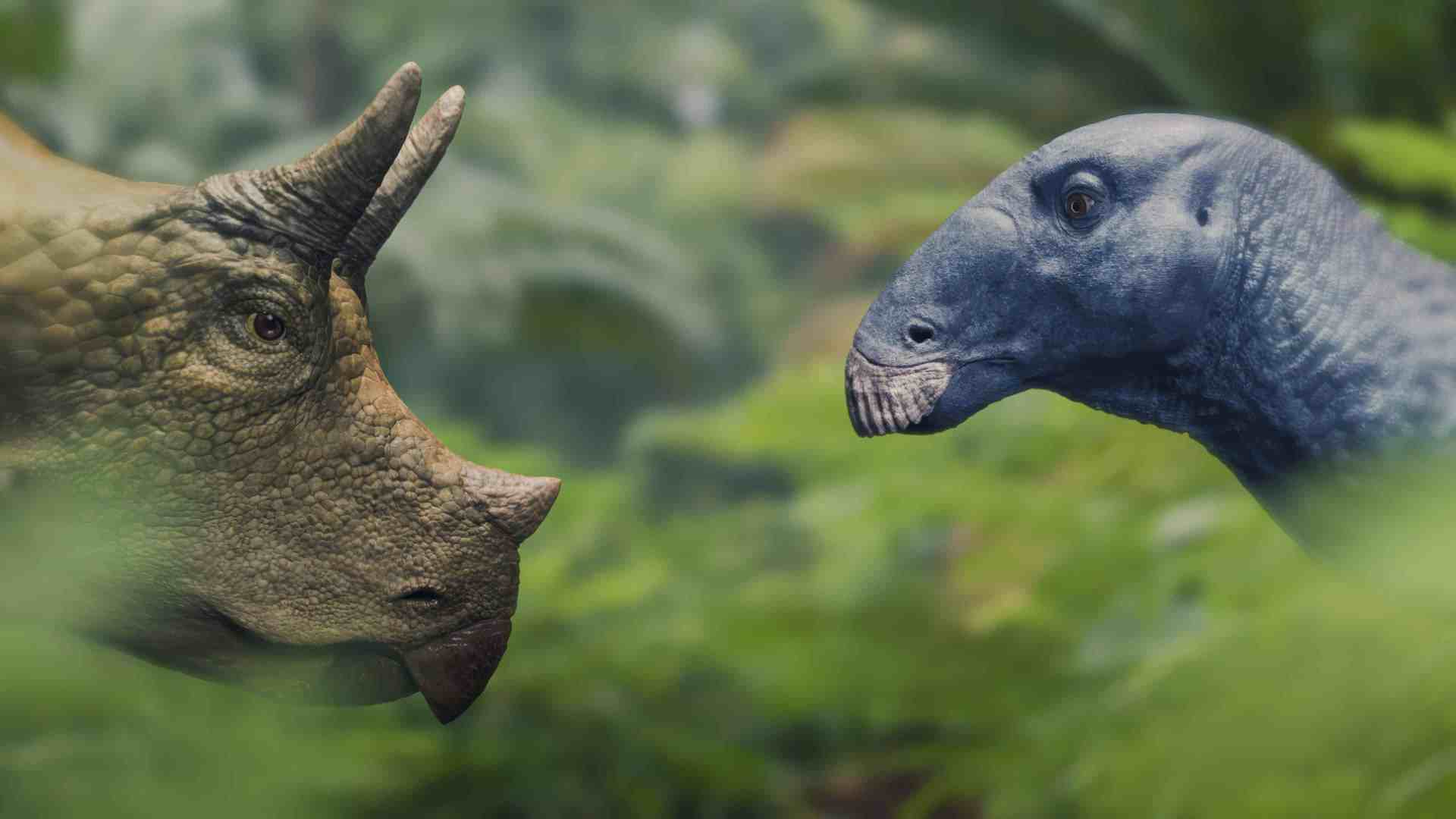 a closeup view of a triceratops and a prehistoric creature facing each other amid lush green foliage showcasing the stark differences in their features against a naturally vibrant backdrop digital production A close-up view of a Triceratops and a prehistoric creature facing each other amid lush green foliage, showcasing the stark differences in their features against a naturally vibrant backdrop.
