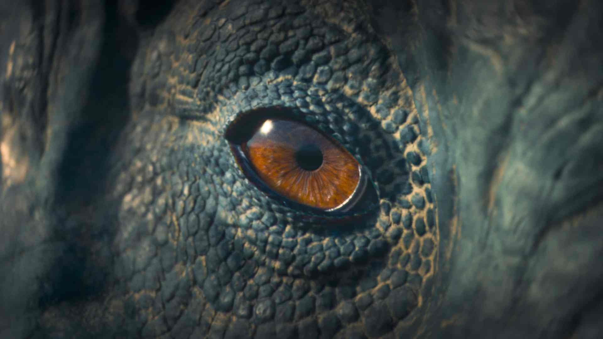 closeup view of a reptilian eye with scaly skin surrounding it the eye is large and ambercolored reflecting light while the textured skin displays various shades of gray and green digital production Close-up view of a reptilian eye with scaly skin surrounding it. The eye is large and amber-colored, reflecting light, while the textured skin displays various shades of gray and green.