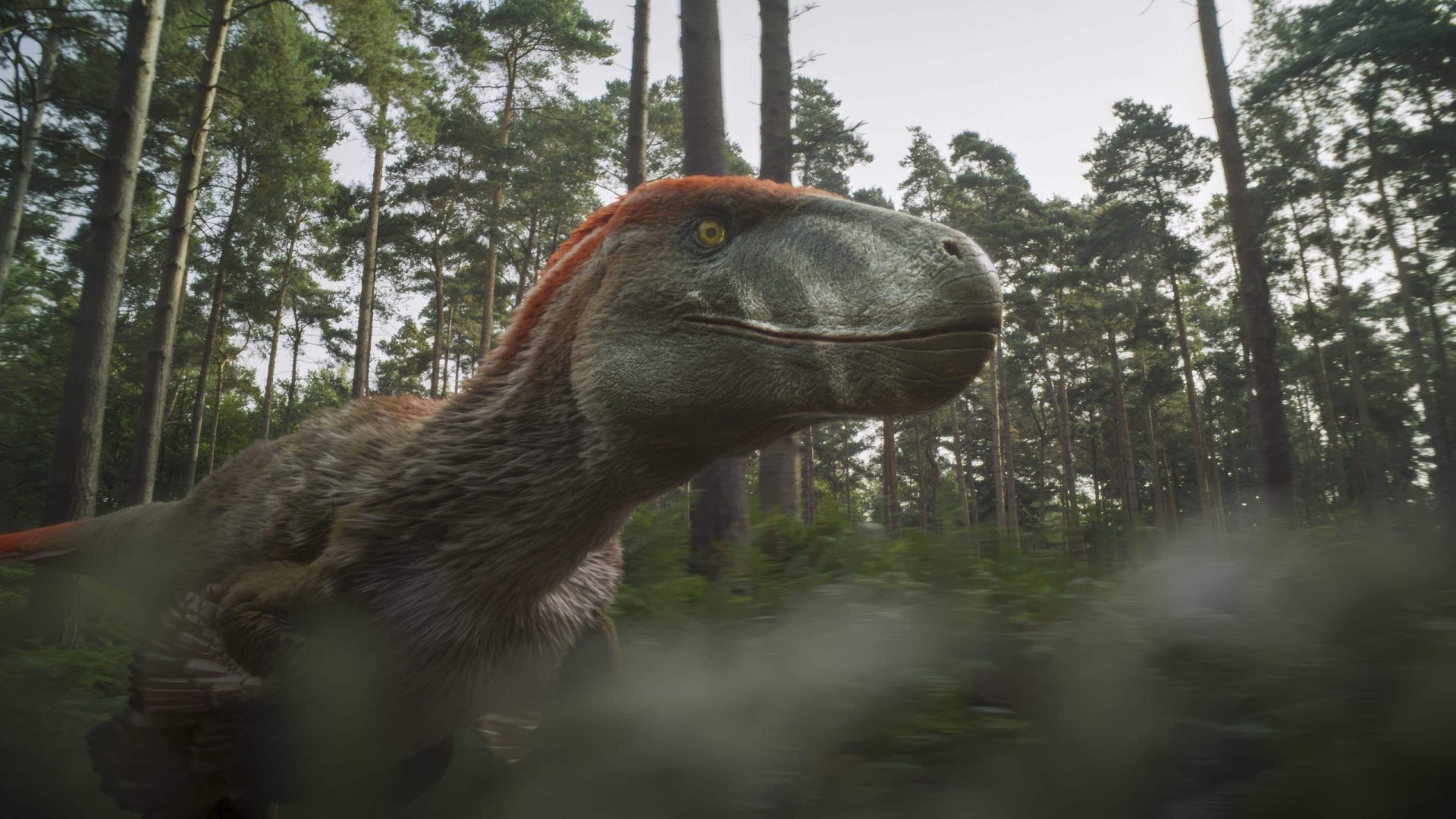 a closeup of a dinosaur with a prominent crest and textured skin surrounded by tall trees in a prehistoric forest setting the creature has a curious expression with its head slightly tilted highlighting its detailed features and vibrant colors digital production A close-up of a dinosaur with a prominent crest and textured skin, surrounded by tall trees in a prehistoric forest setting. The creature has a curious expression, with its head slightly tilted, highlighting its detailed features and vibrant colors.
