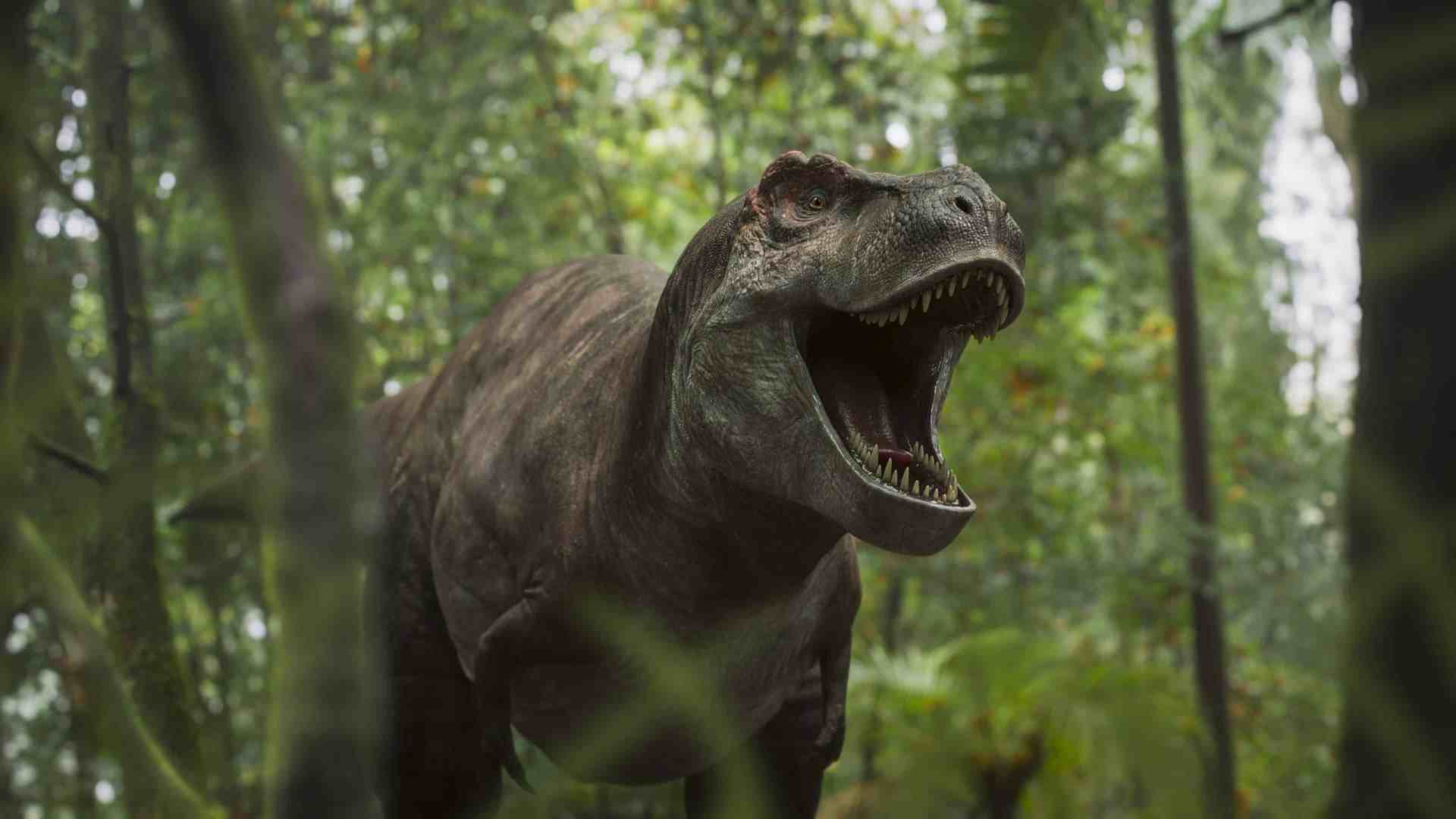 a detailed view of a roaring tyrannosaurus rex standing among dense green foliage in a prehistoric forest with its mouth open revealing sharp teeth surrounded by tall plants and trees digital production A detailed view of a roaring Tyrannosaurus rex standing among dense green foliage in a prehistoric forest, with its mouth open revealing sharp teeth, surrounded by tall plants and trees.