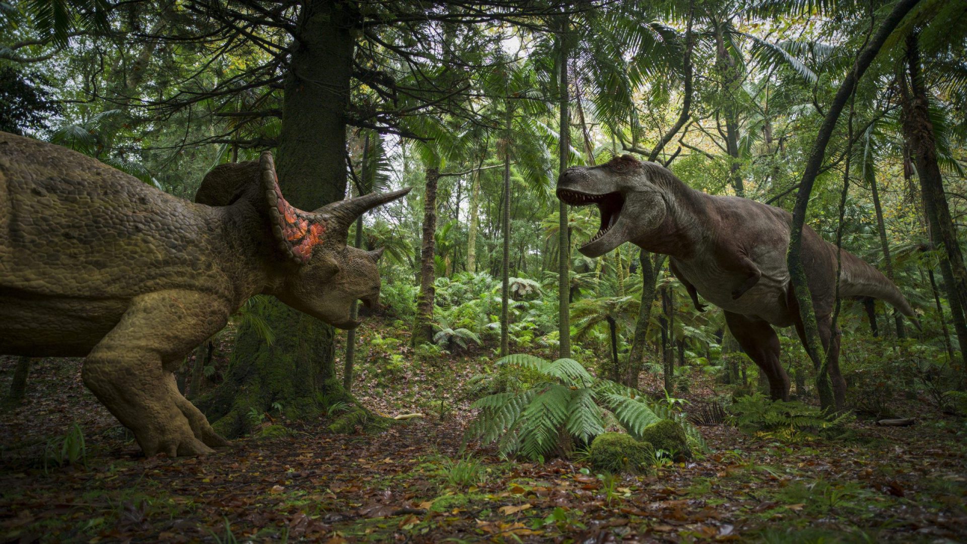 a vivid scene featuring a triceratops and a tyrannosaurus rex facing off in a dense prehistoric forest tall ferns and lush greenery surround them creating an immersive environment reminiscent of the time of dinosaurs digital production A vivid scene featuring a Triceratops and a Tyrannosaurus rex facing off in a dense, prehistoric forest. Tall ferns and lush greenery surround them, creating an immersive environment reminiscent of the time of dinosaurs.